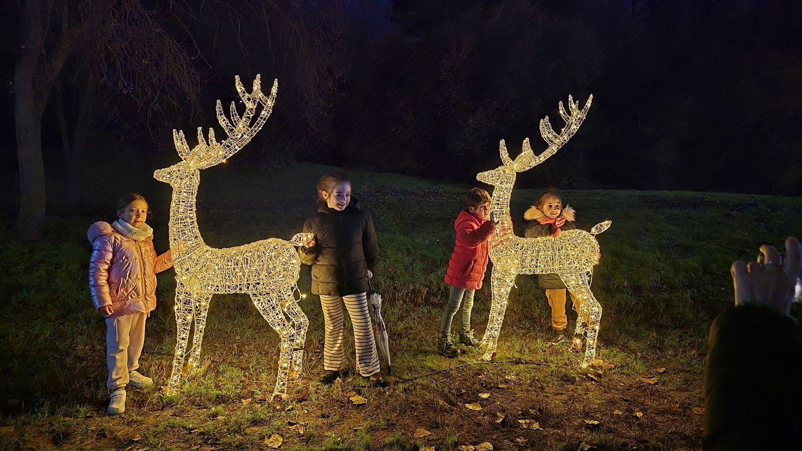 Inauguración de la Navidad en Santa Marta