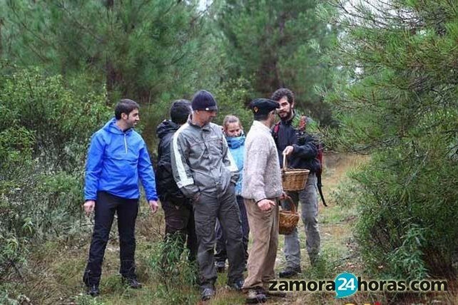 Los permisos para la recolección de setas se podrán adquirir a partir del jueves