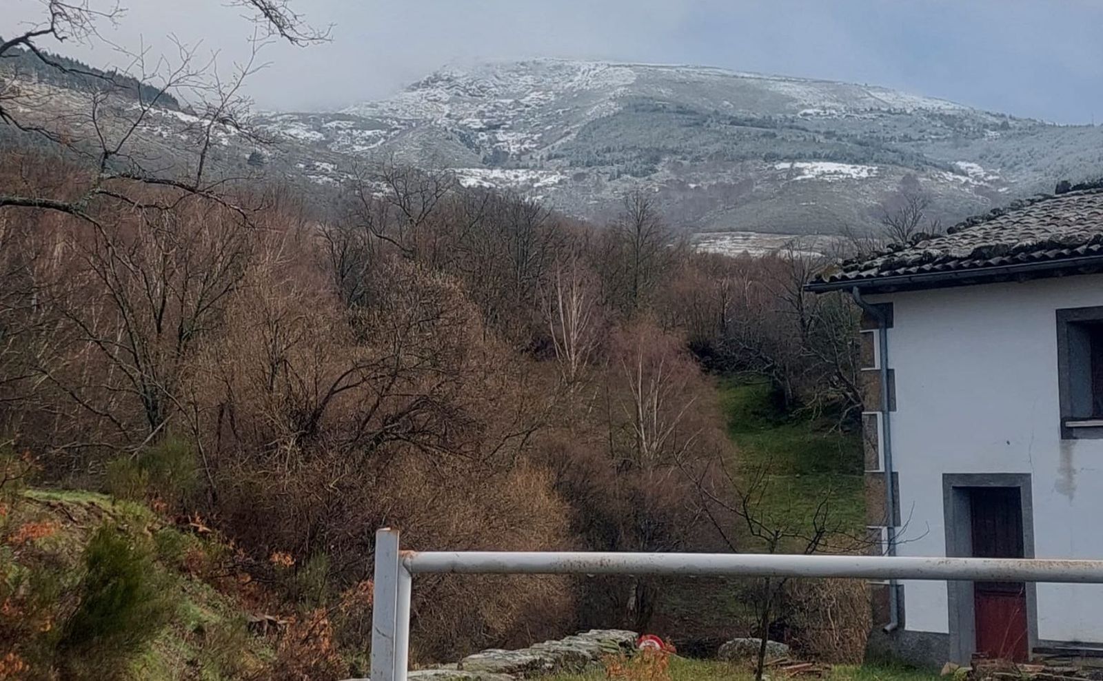 whatsapp-image-2024-02-10-at-17-50-50-1