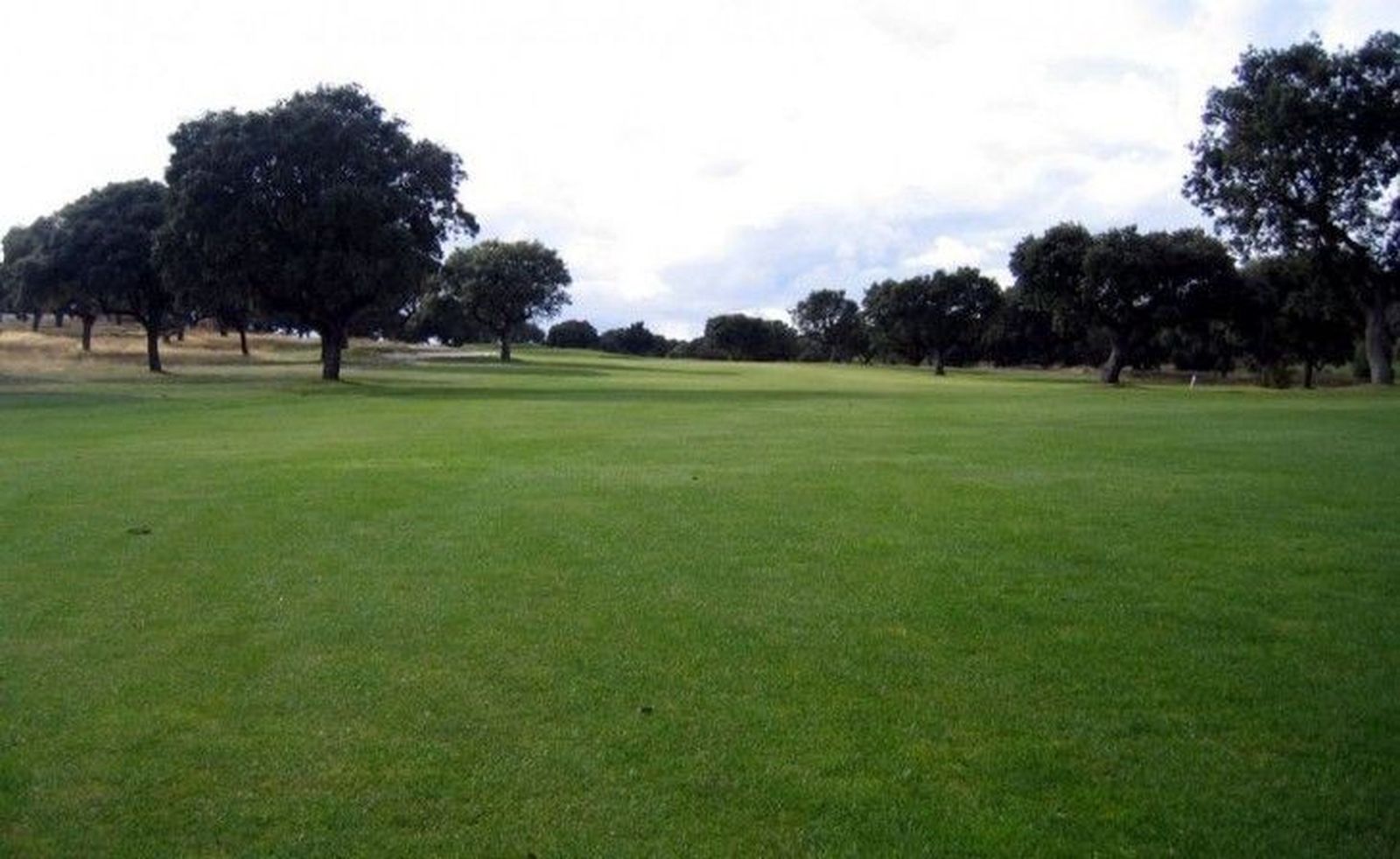 El Trofeo Princesa Leticia cumple su quinta edición