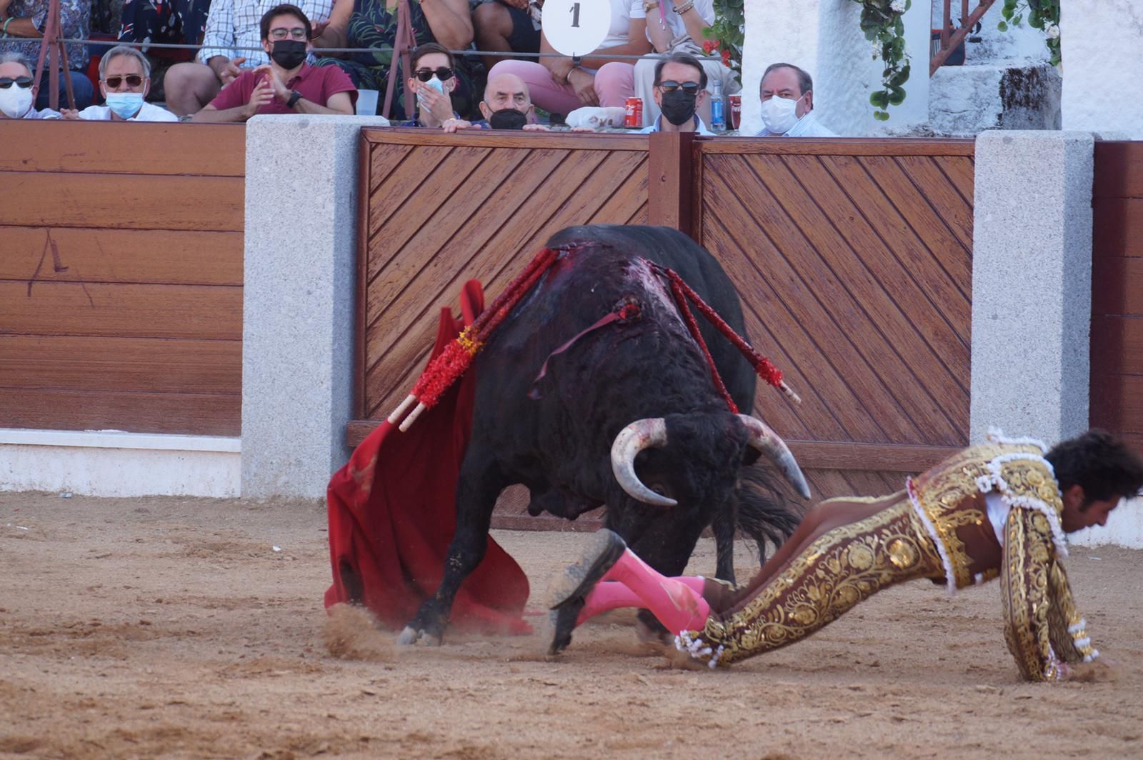 cayetano-golpeado-en-la-plaza-de-guijuelo-5