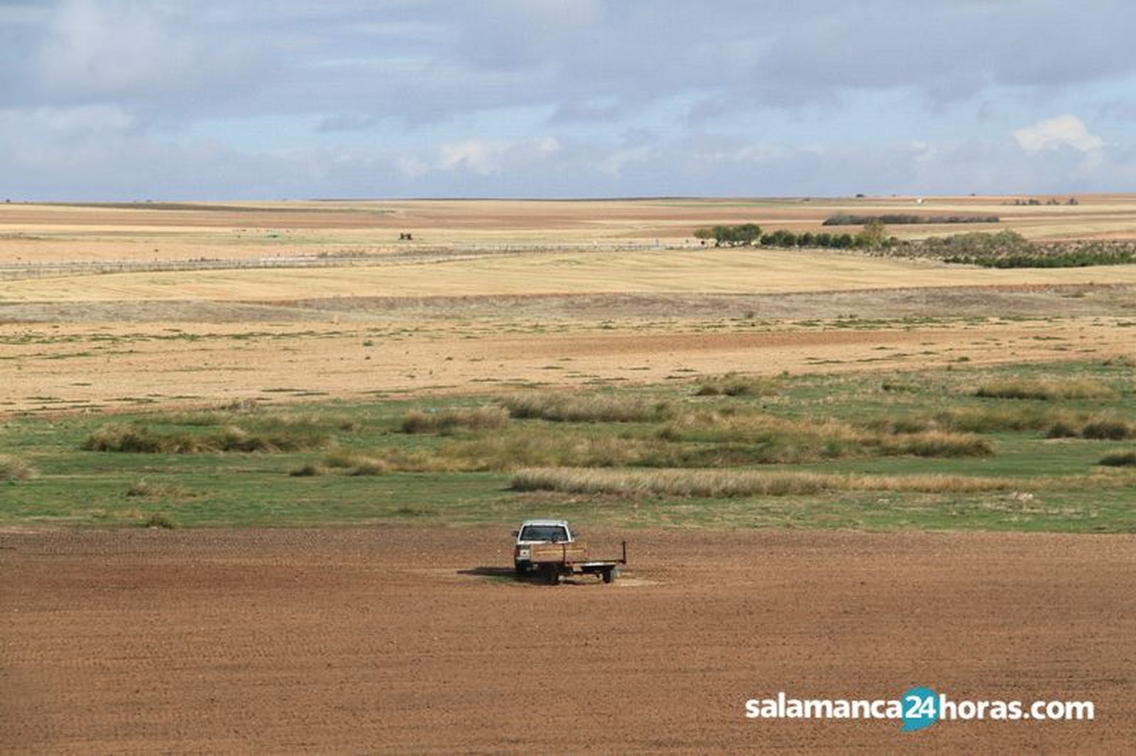 Campo septiembre (7)