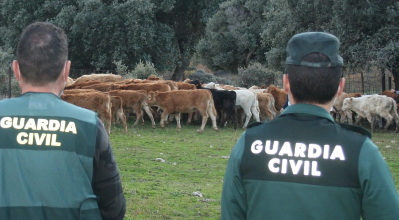 Imagen de la Guardia Civil