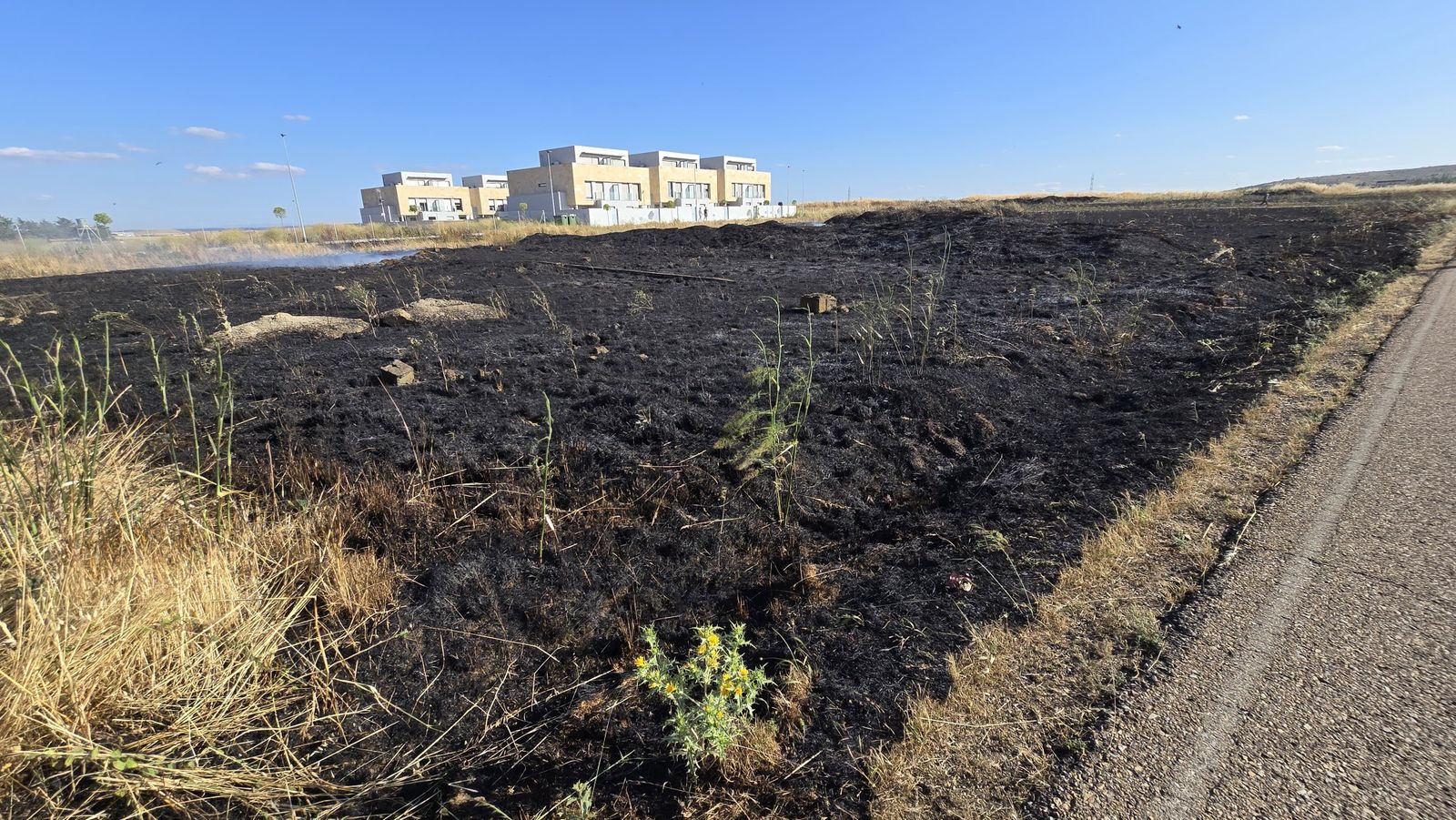 Incendio de pasto en la calle Félix Candela (Aldeatejada)