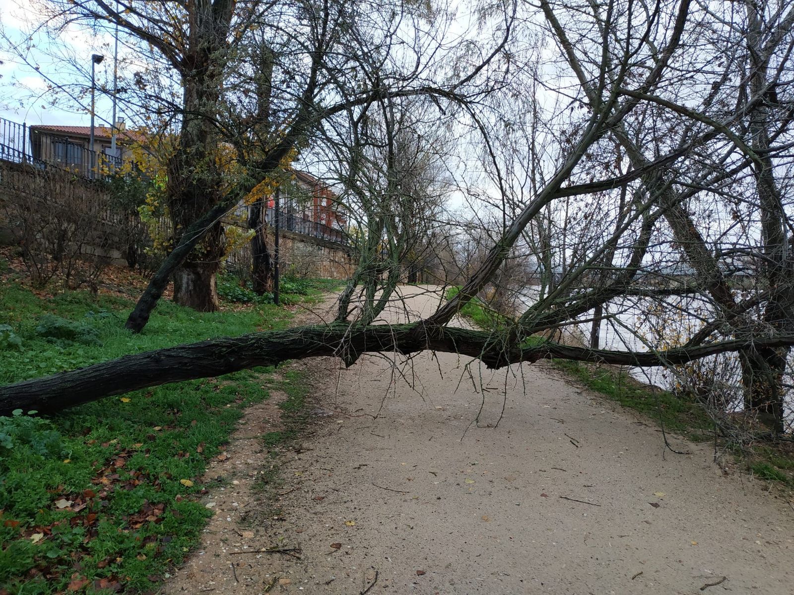 WhatsApp Image 2019 12 20 at 09.08.41