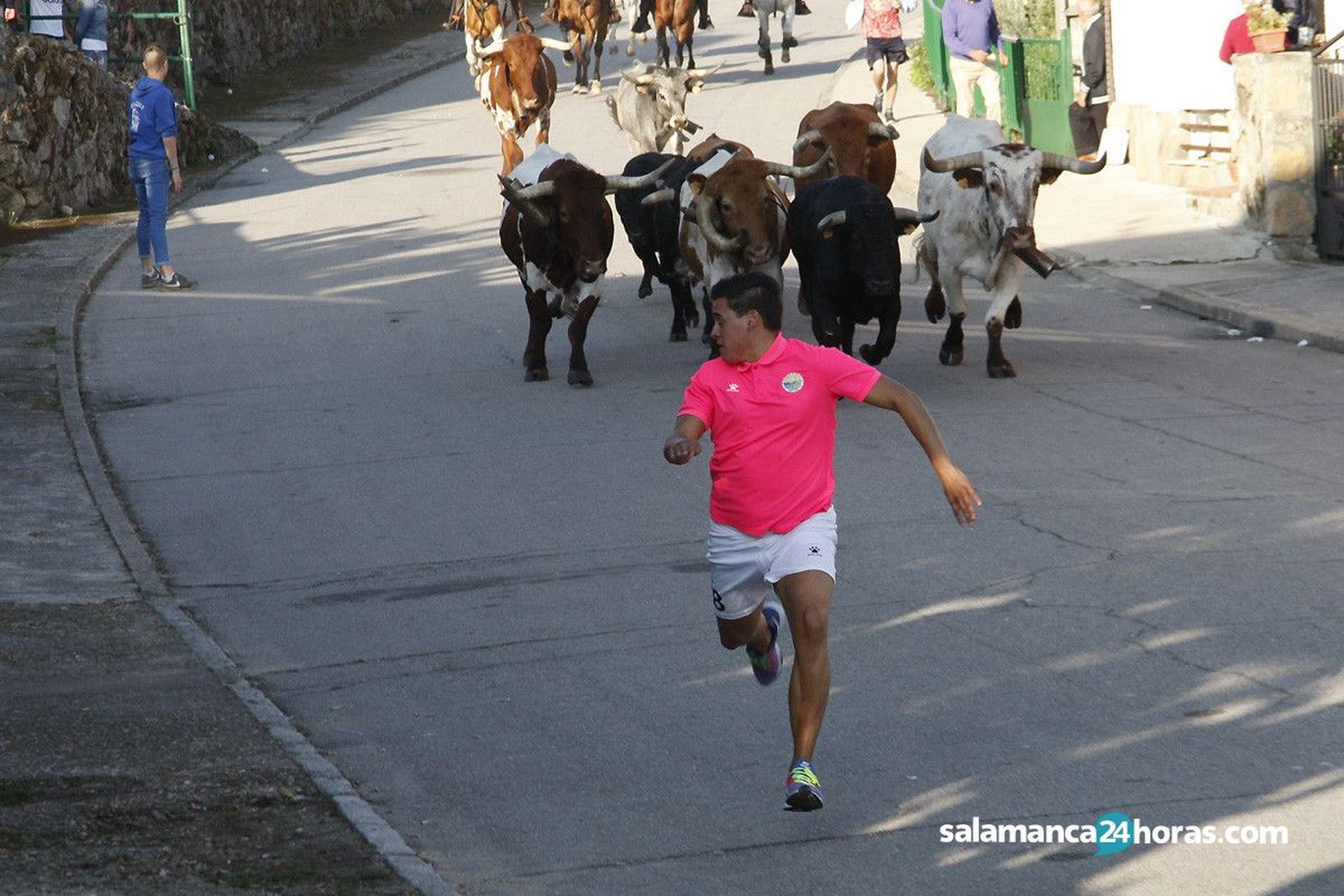 Encierro a caballo en Aldeadavila martes (12)