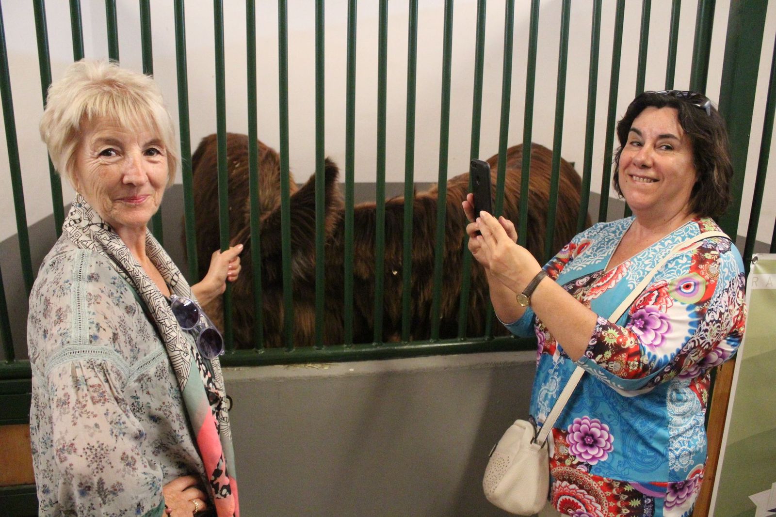 20230904141855-img-7557