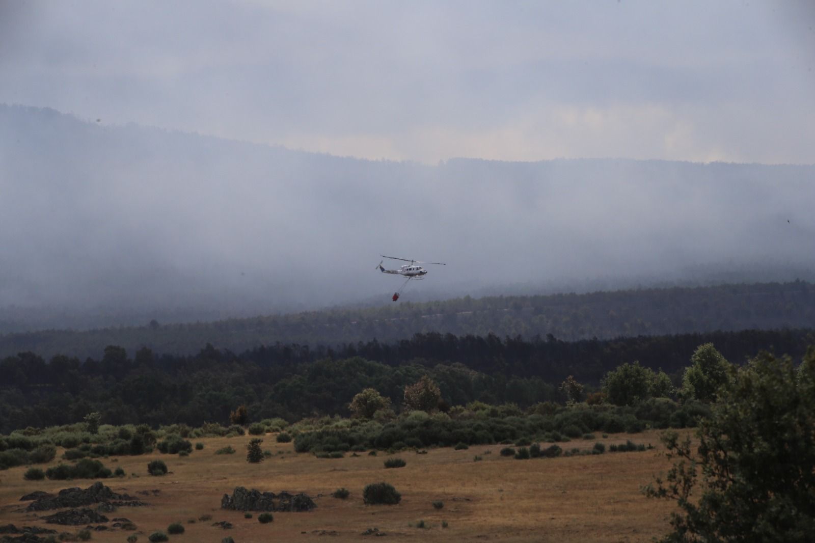 las-desoladoras-imagenes-de-la-sierra-de-la-culebra-tras-el-incendio-6