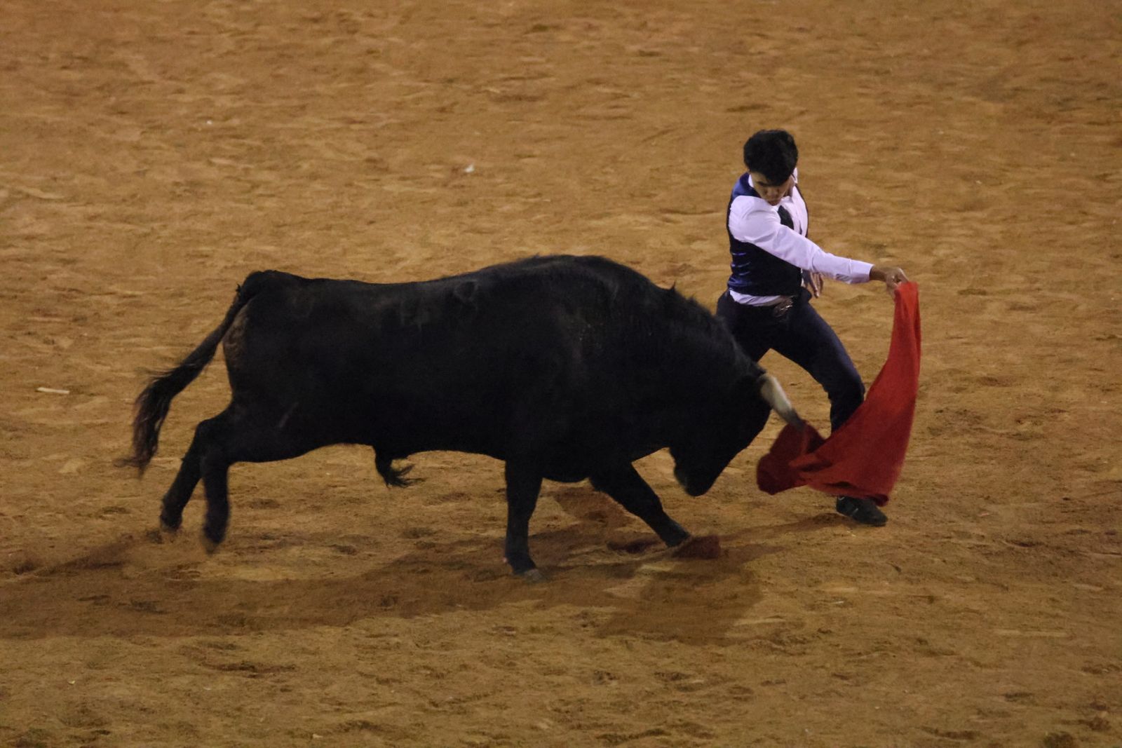 Capea y desencierro de domingo tarde en el Carnaval del Toro 2026