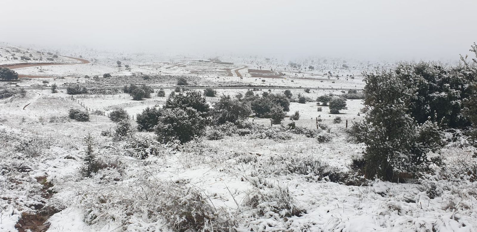 Primera nevada en Salamanca en la carretera Matilla: martes 23 de noviembre de 2021. FOTO S24H