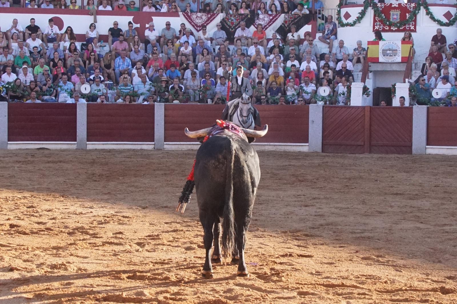 corrida-rejones-guijuelo-124