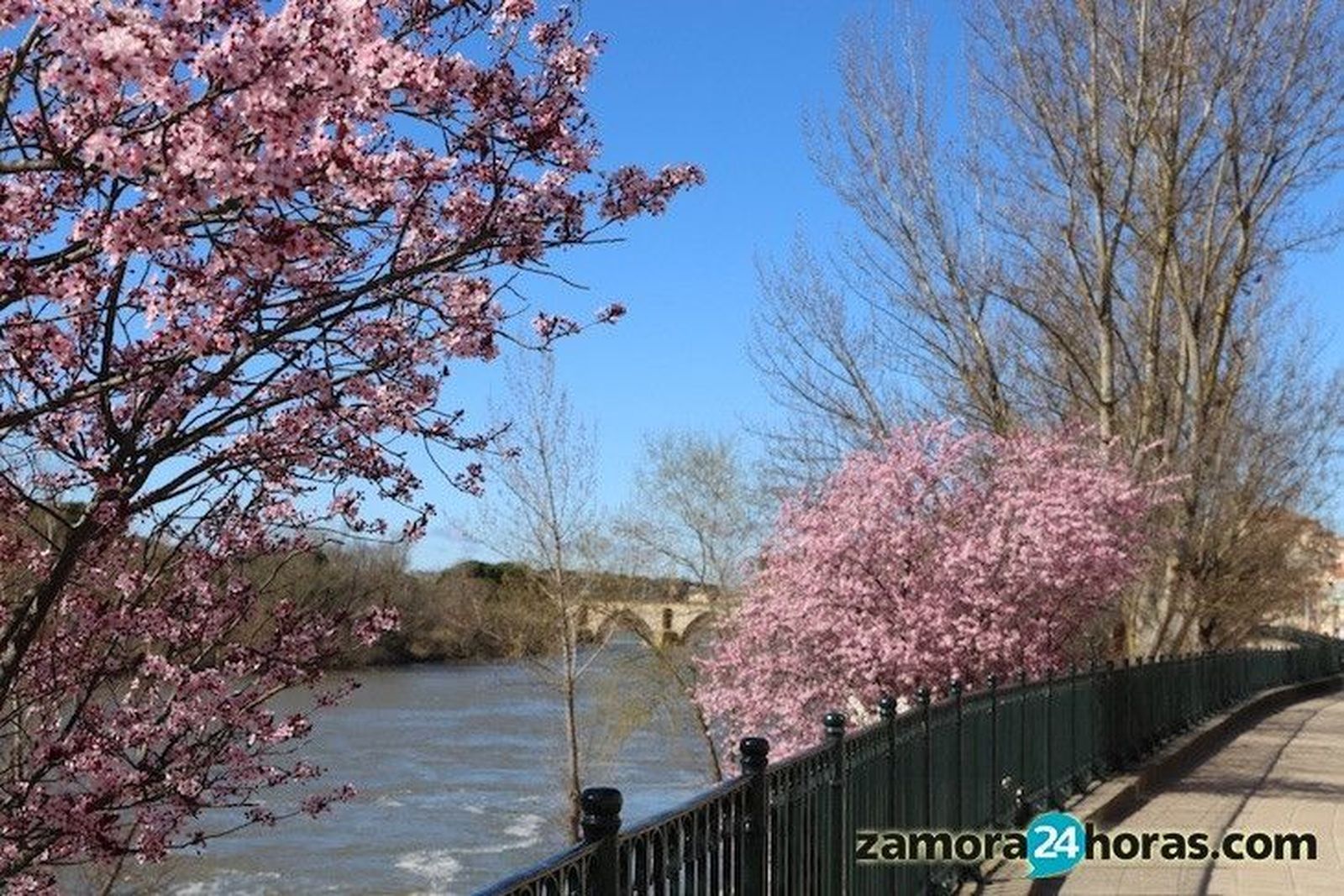 Las temperaturas se sitúan por encima de los 20 grados