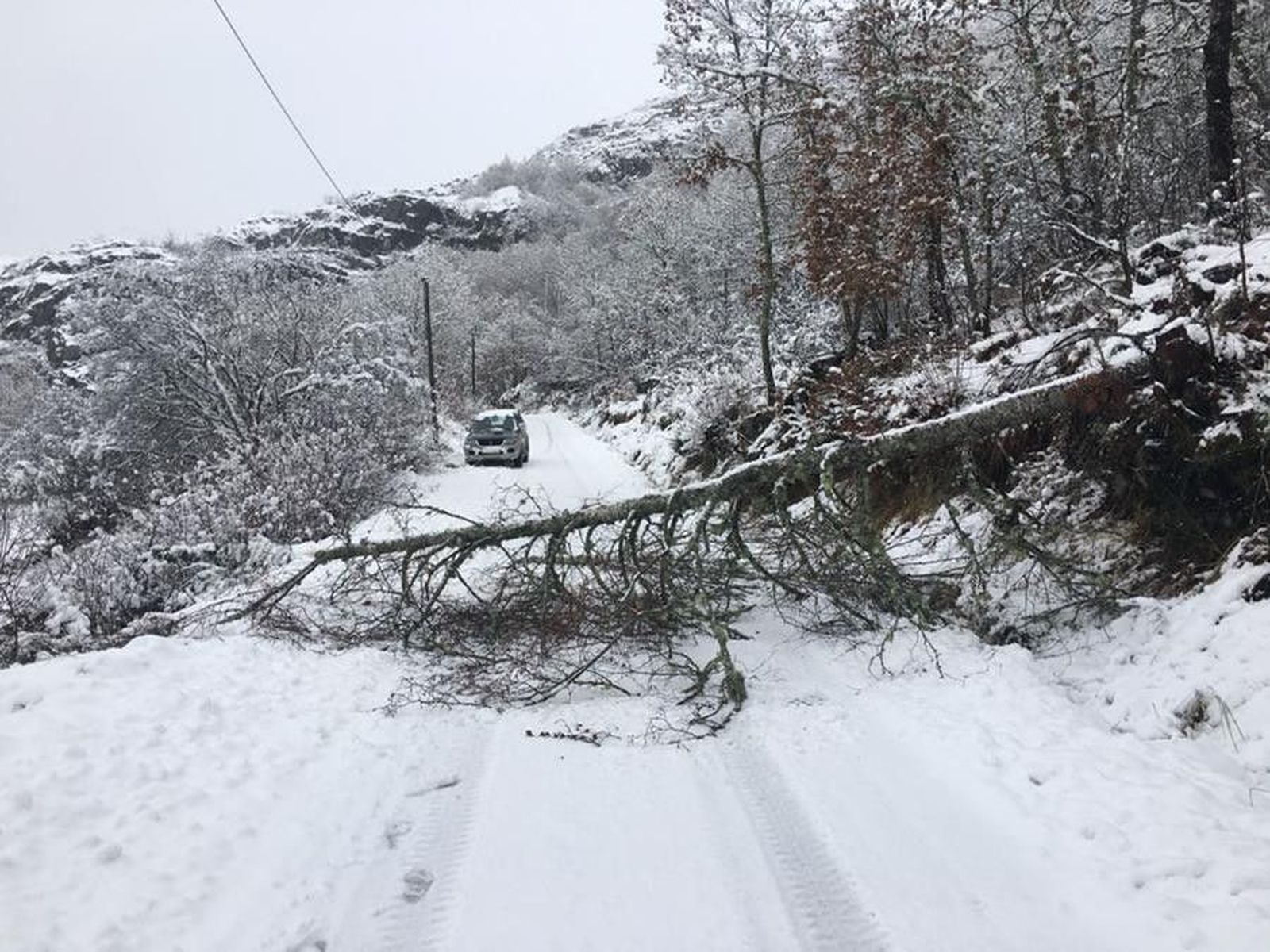 IMG 20171211 WA0028 (Copy)