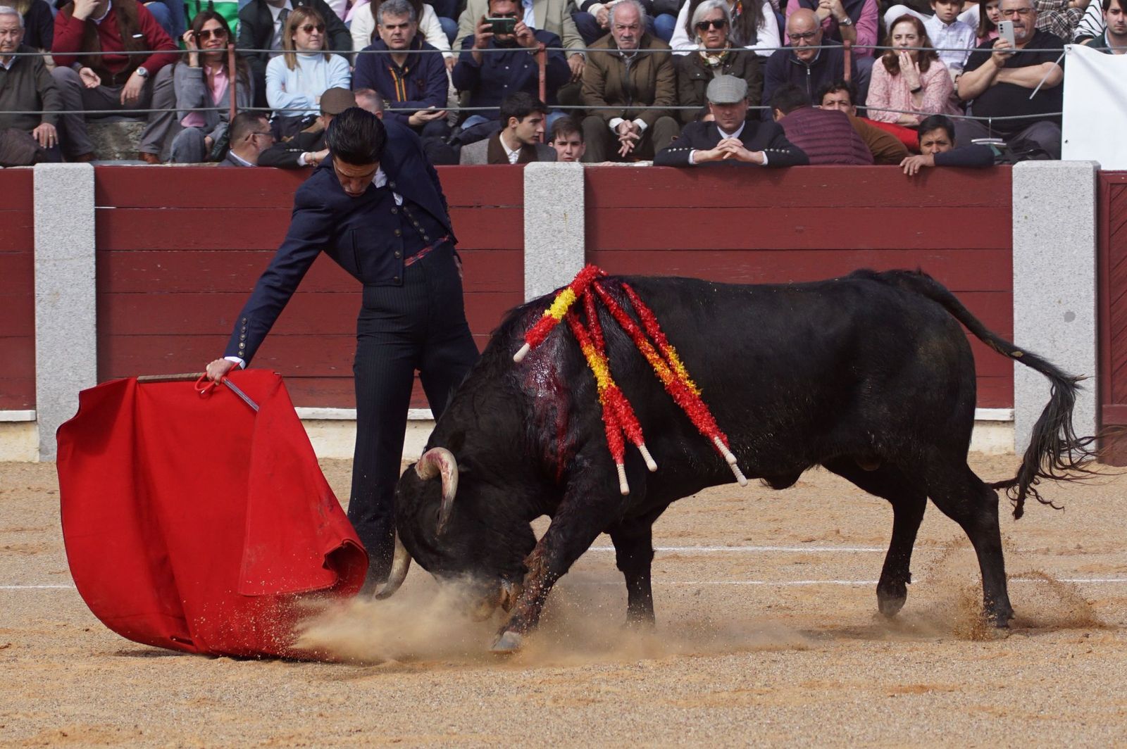 Festival taurino solidario por la esclerosis múltiple en Guijuelo