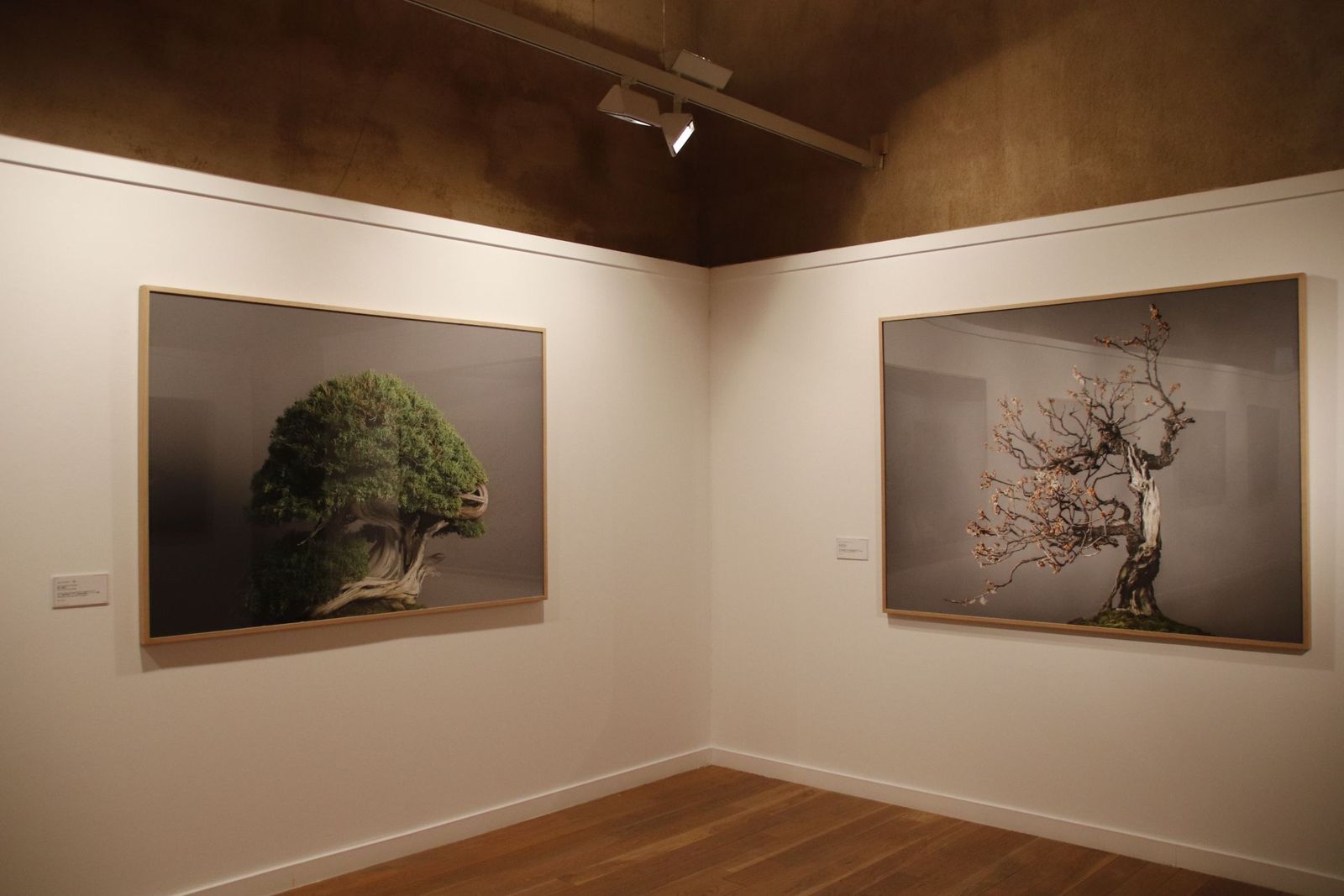 20220120105904-mg-4487