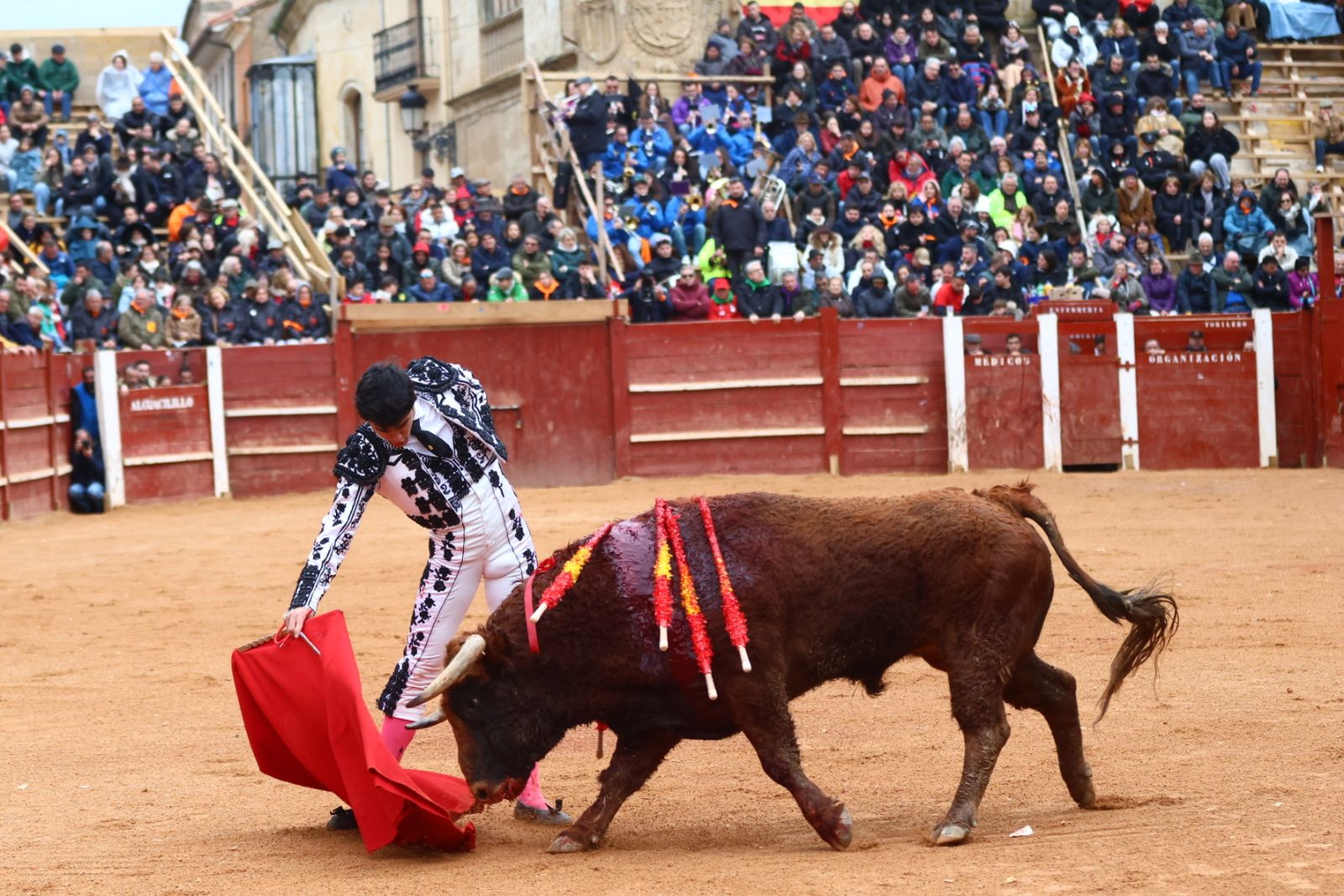 Novillada con picadores de lunes en el Carnaval del Toro de Ciudad Rodrigo 2026