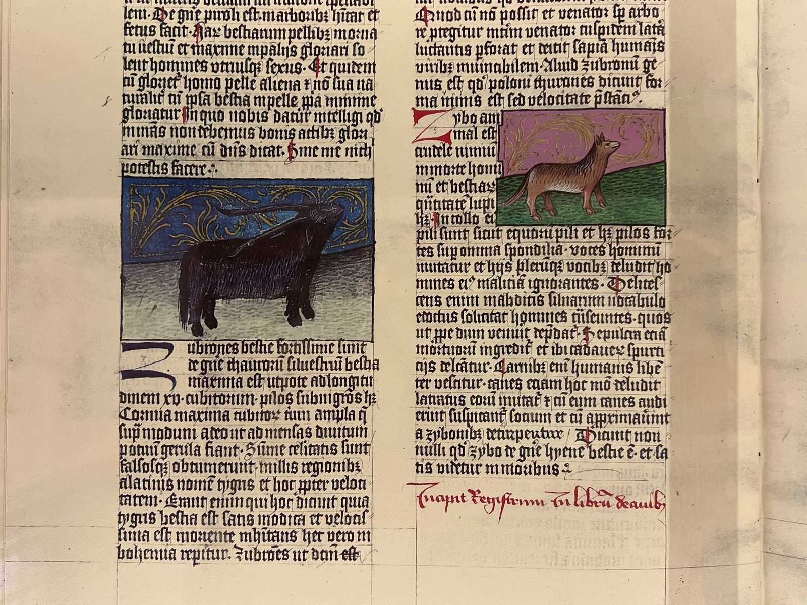 Exposición sobre la historia del libro en el Aula de la Columna de las Escuelas Mayores