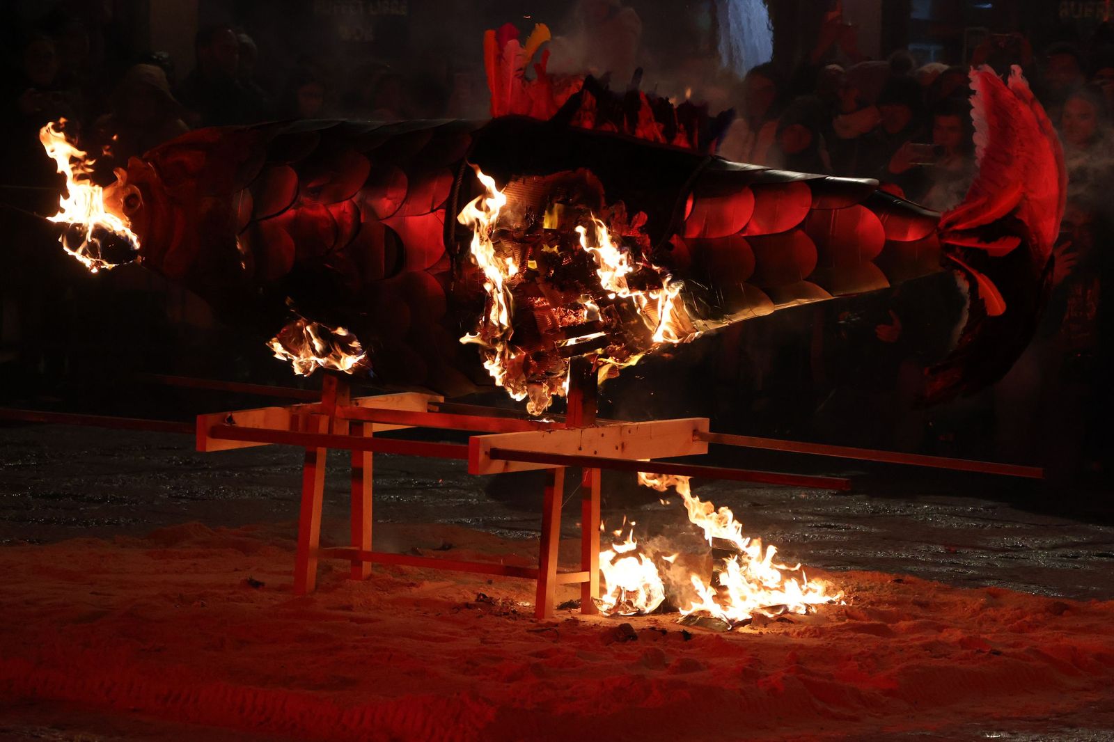 GALERÍA | Entierro de la sardina Zamora 2026