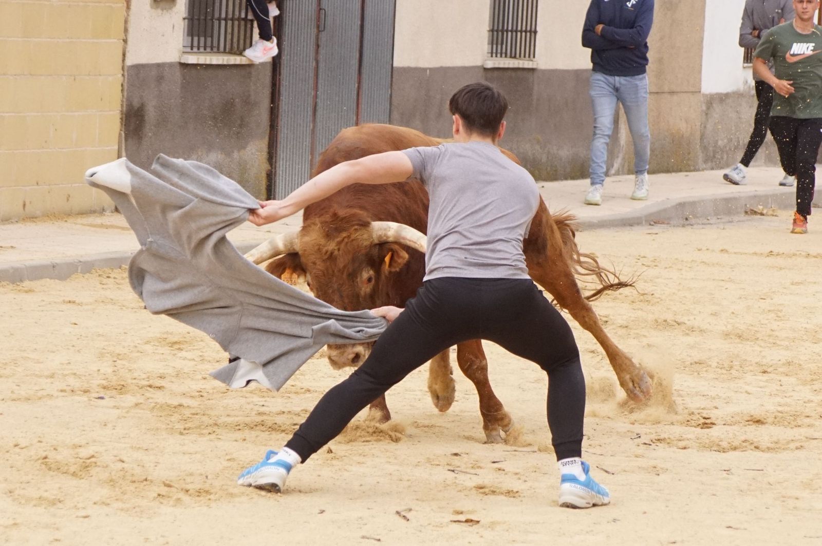 Villoria, toro del Voto