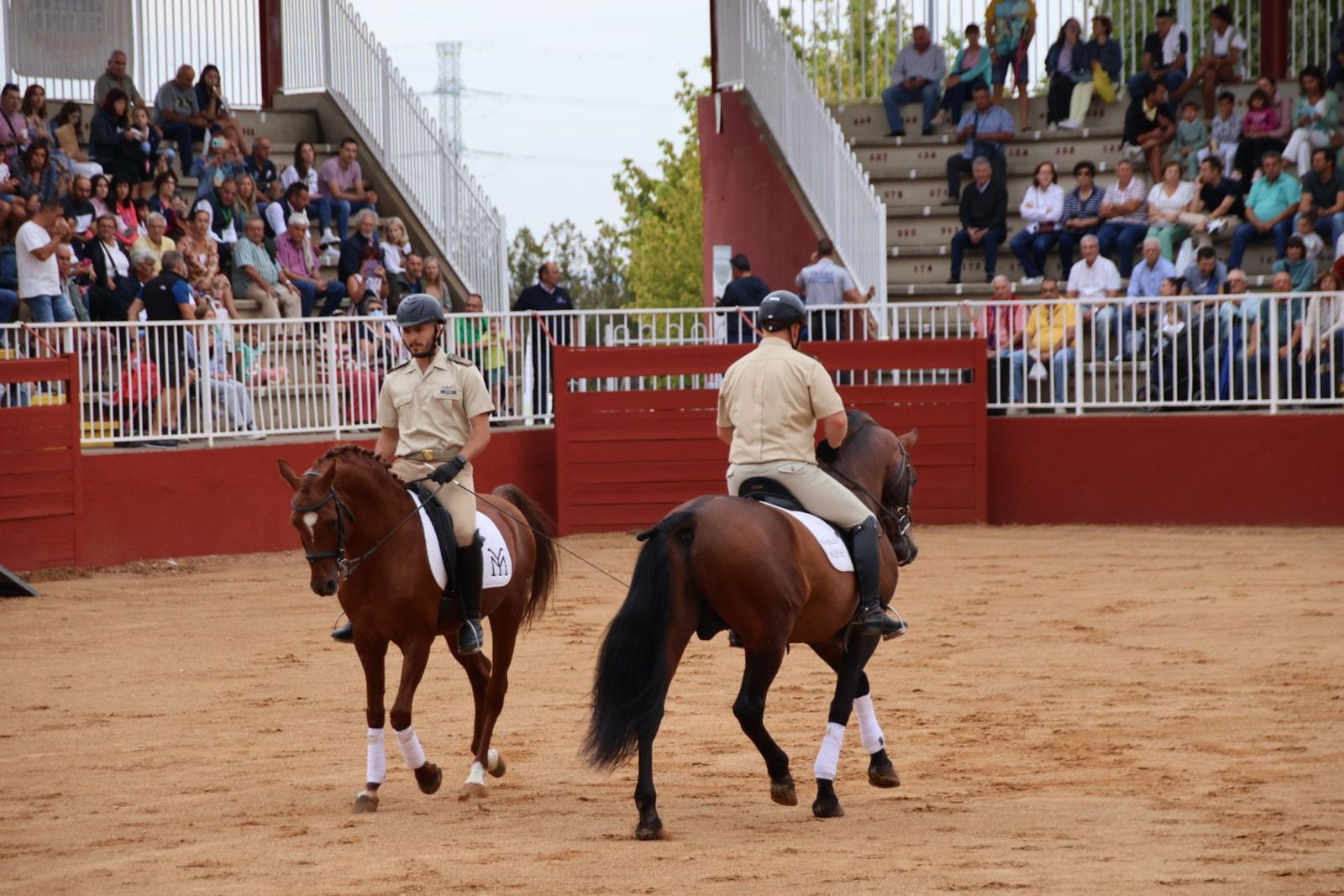 20230902111131-img-7042