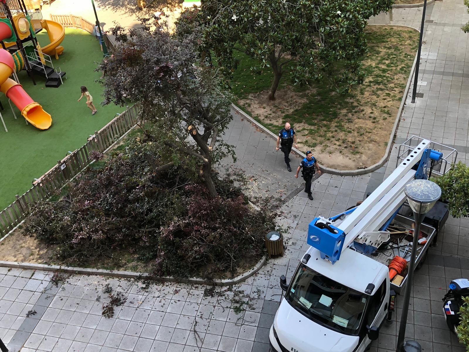 Árbol al que se ha cortado las ramas en el plaza de Julián Sánchez El Charro. Imagen facilitada a Salamanca24horas por vecinos de la zona Árbol al que se ha cortado las ramas en el plaza de Julián Sánchez El Charro. Imagen facilitada a Salamanca24horas por vecinos de la zona