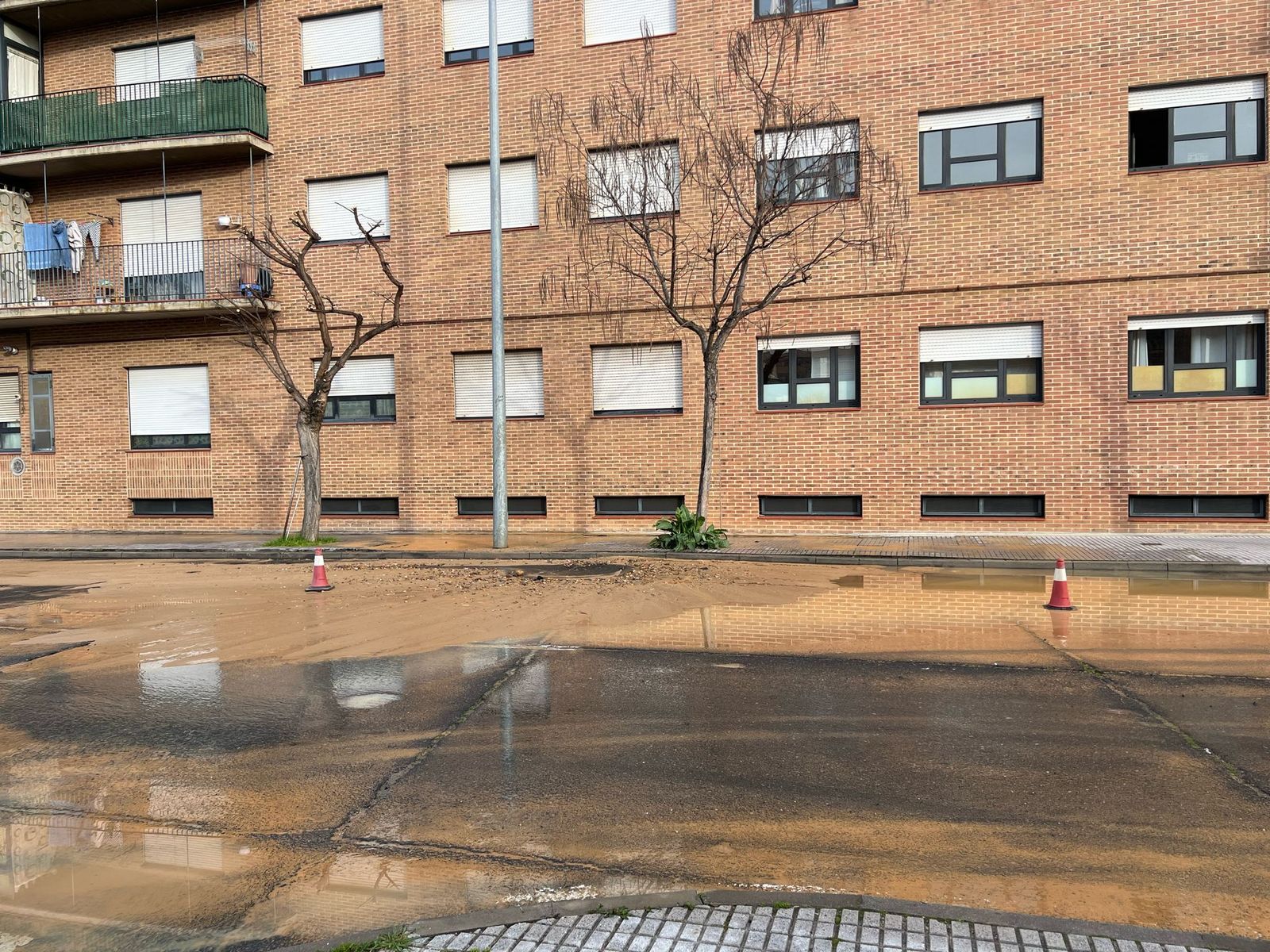 reventon-en-el-paseo-cesar-real-de-la-riva-5