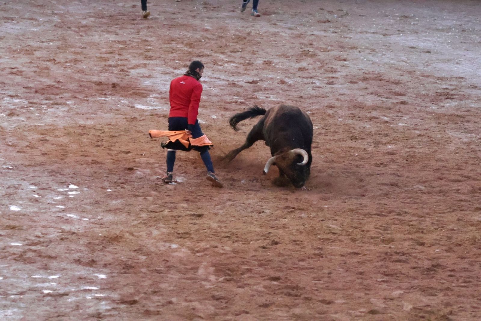 Última capea del Carnaval del Toro 2025, martes 4 de marzo