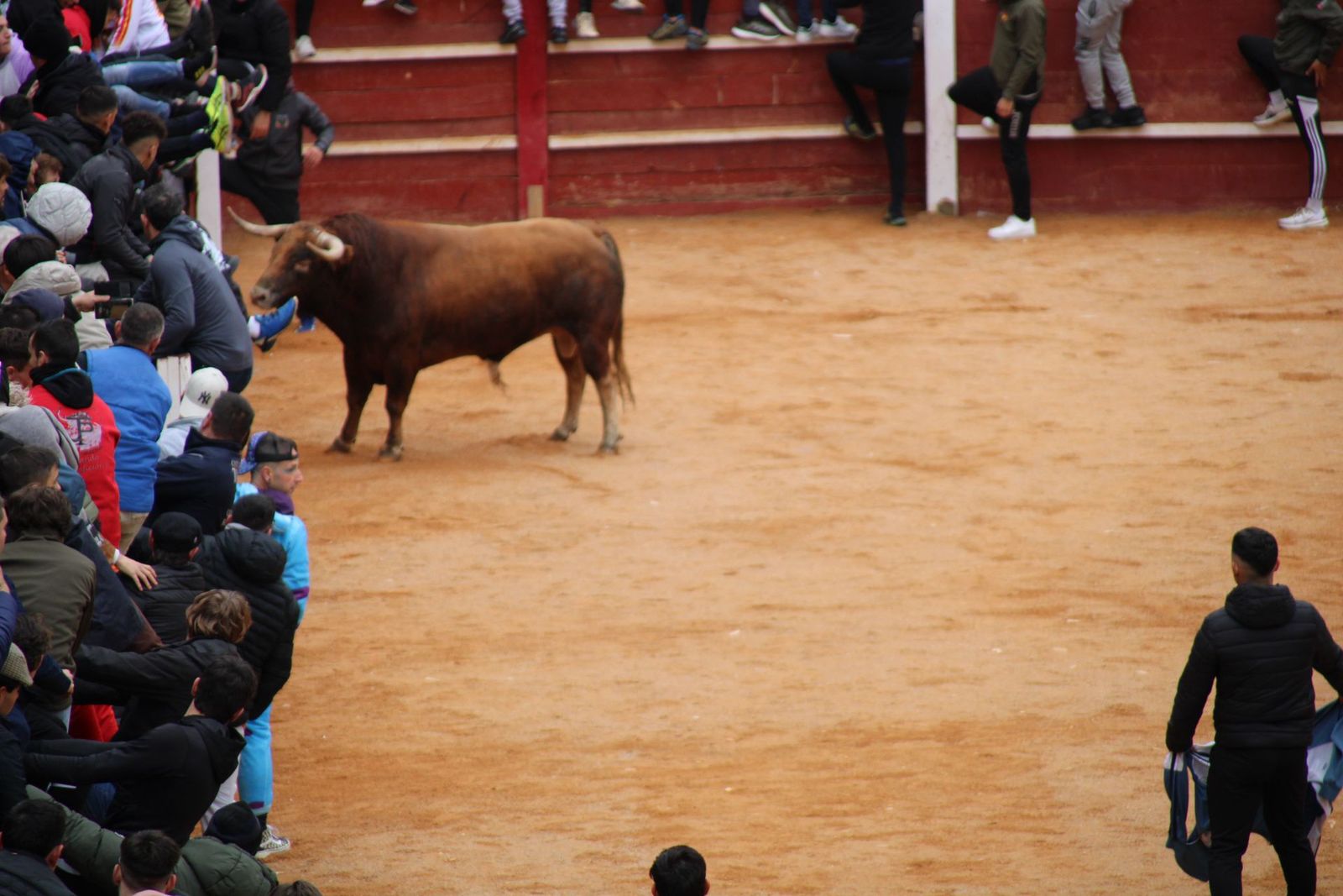 whatsapp-image-2025-03-01-at-13-18-35