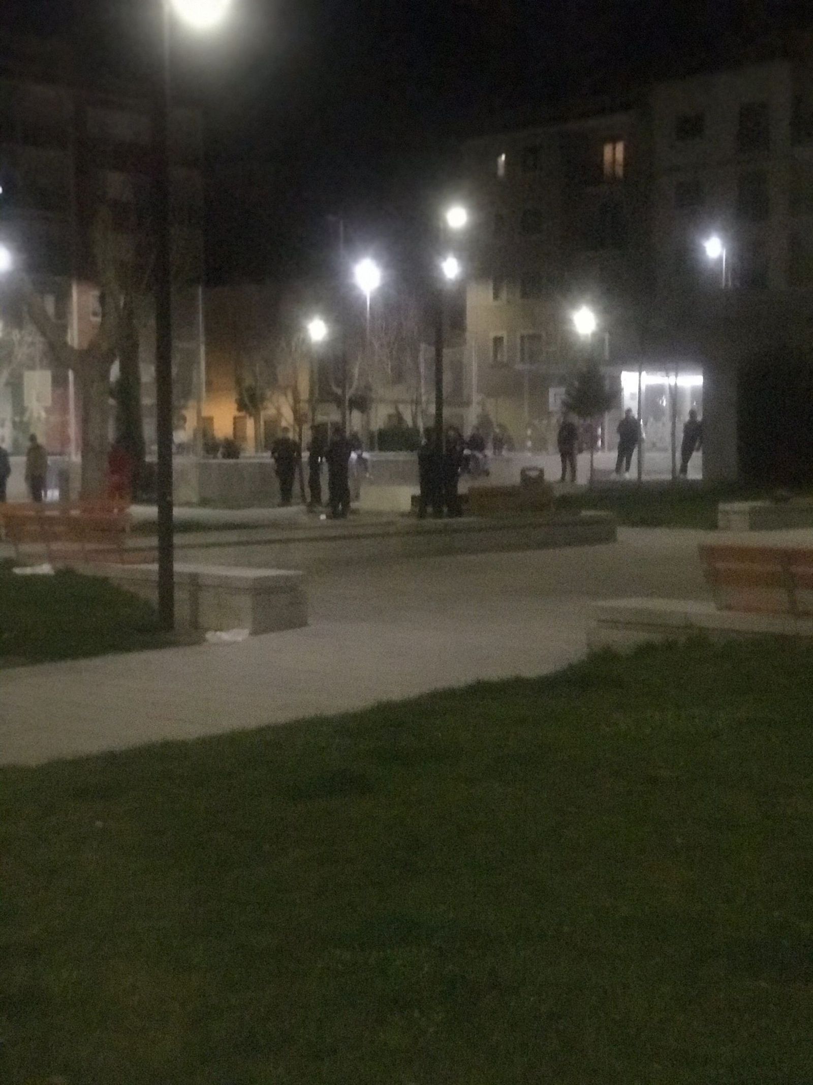 Pelea en el parque de Garrido