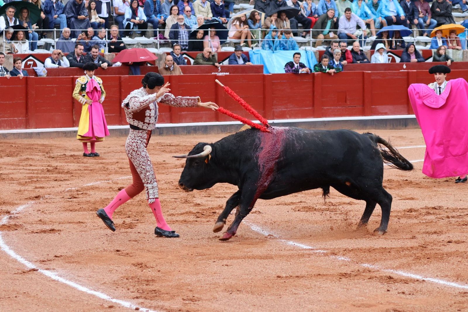 20230915171332-img-3841