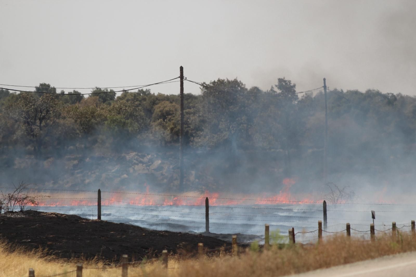 Así han quedado las zonas quemadas durante el incendio de Cipérez