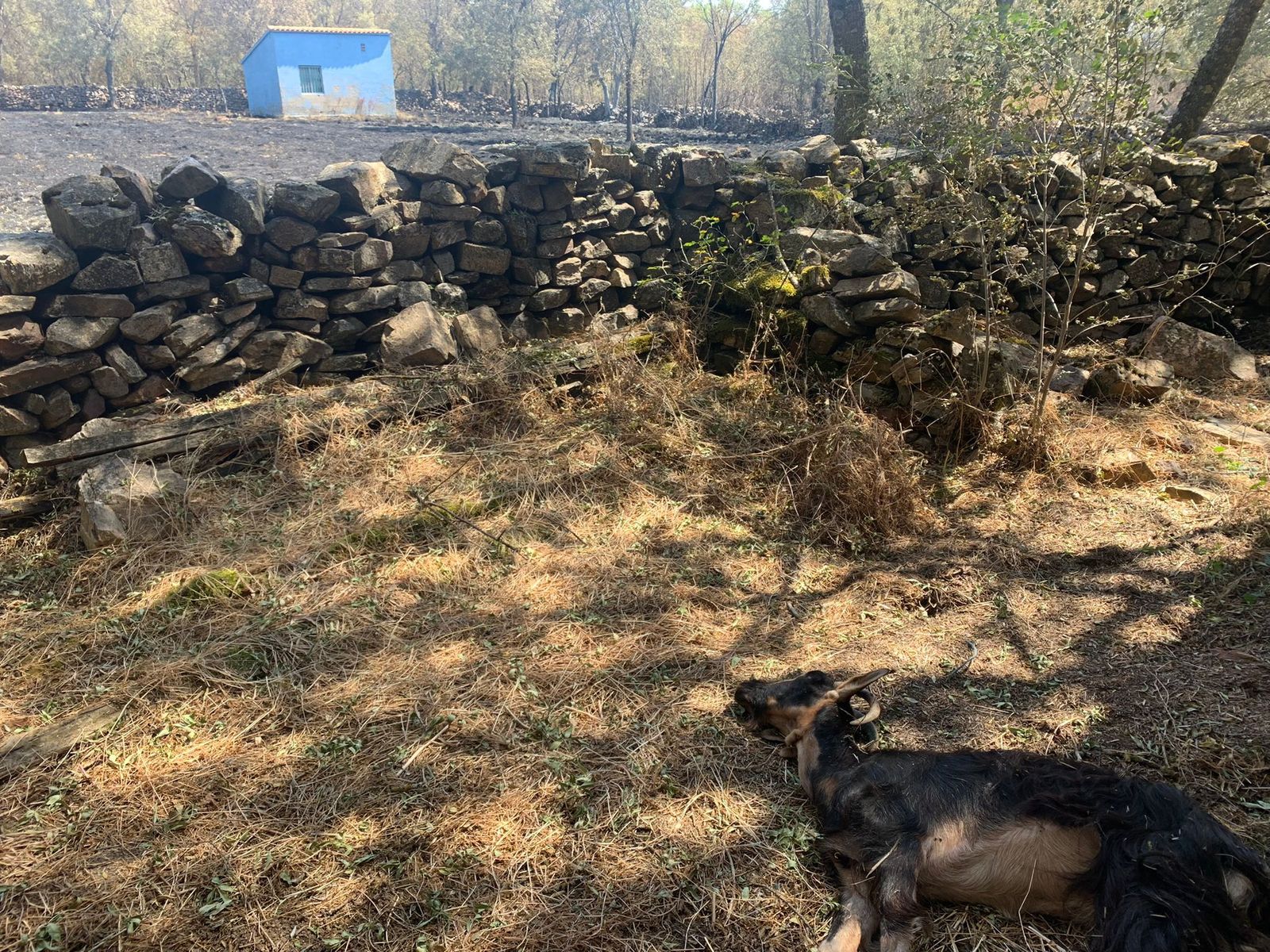 tras-el-horror-la-deslacion-en-zamora-foto-rafael-lorenzo-30