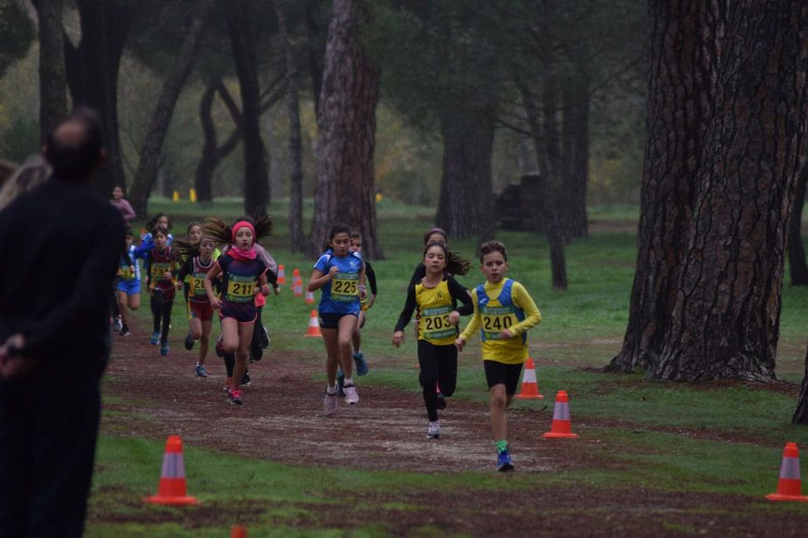 cross-de-otono-en-el-bosque-de-valorio-5