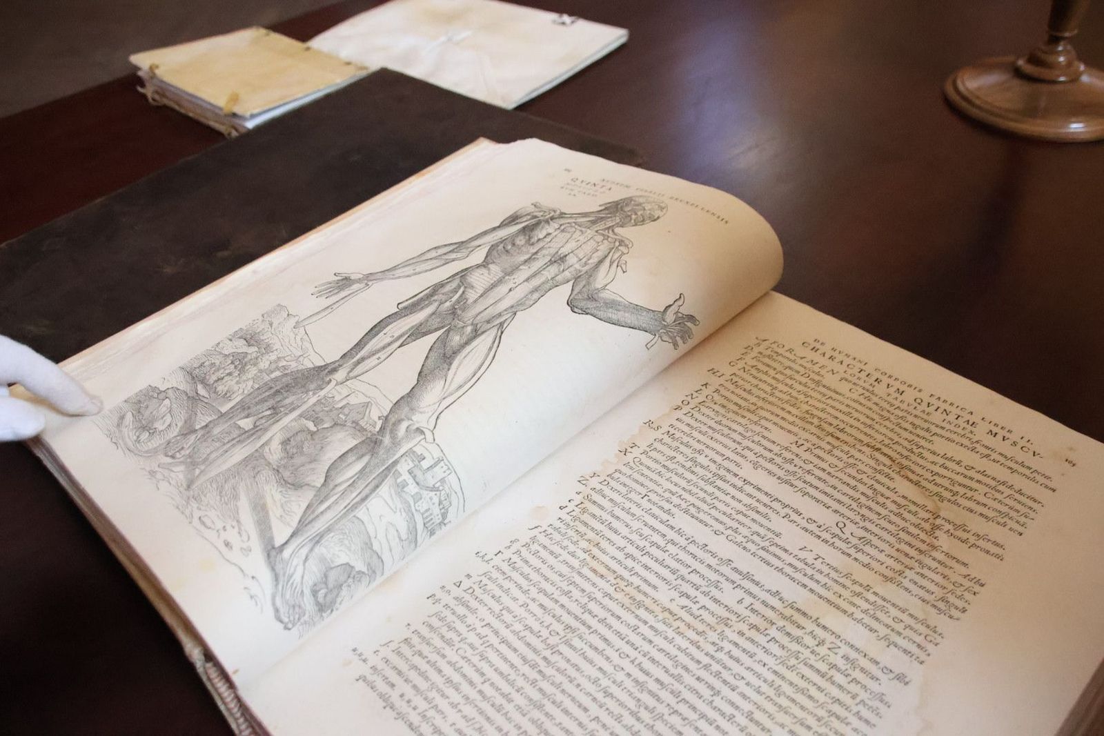 20231005113544-img-1355