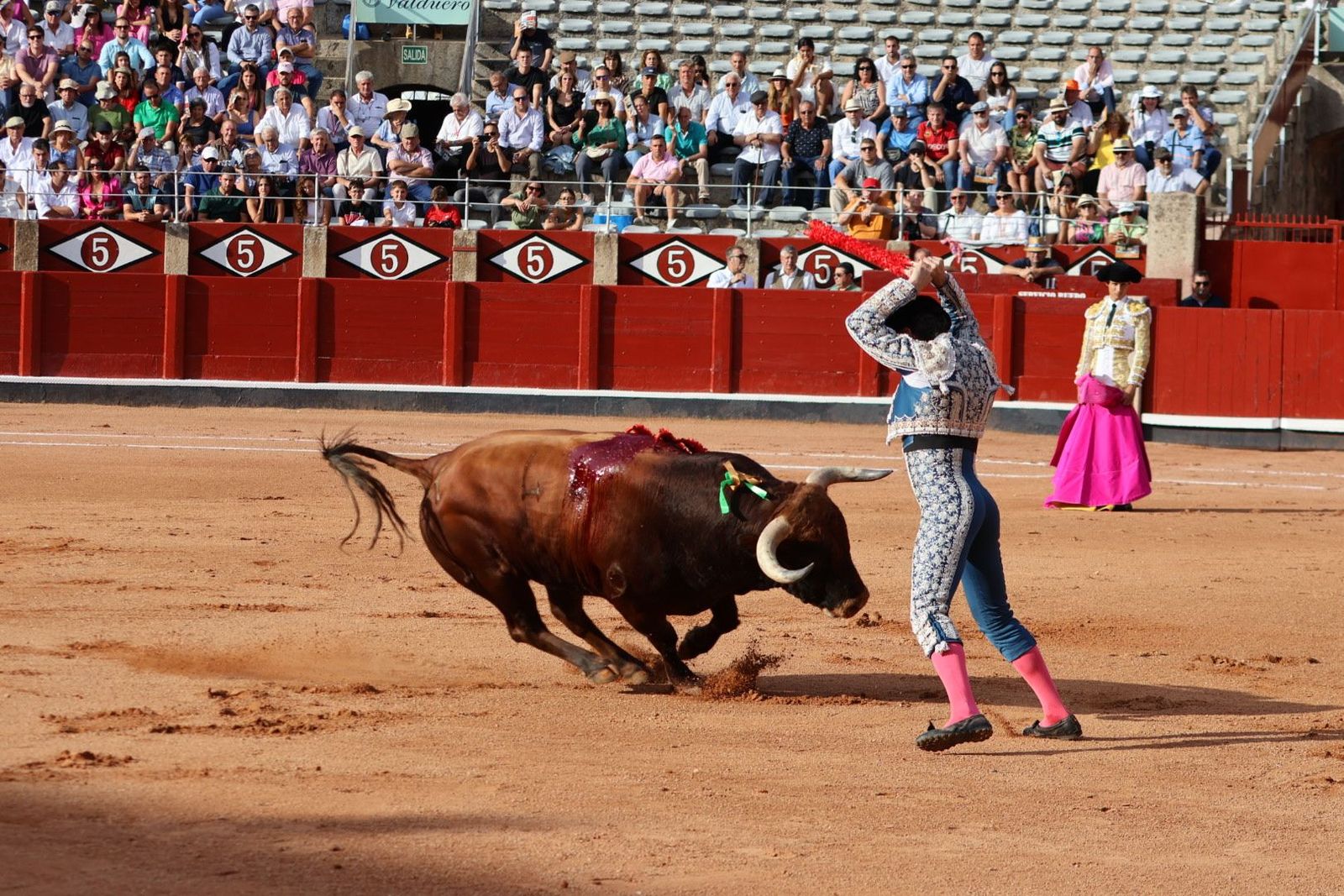 20230910174232-img-1854