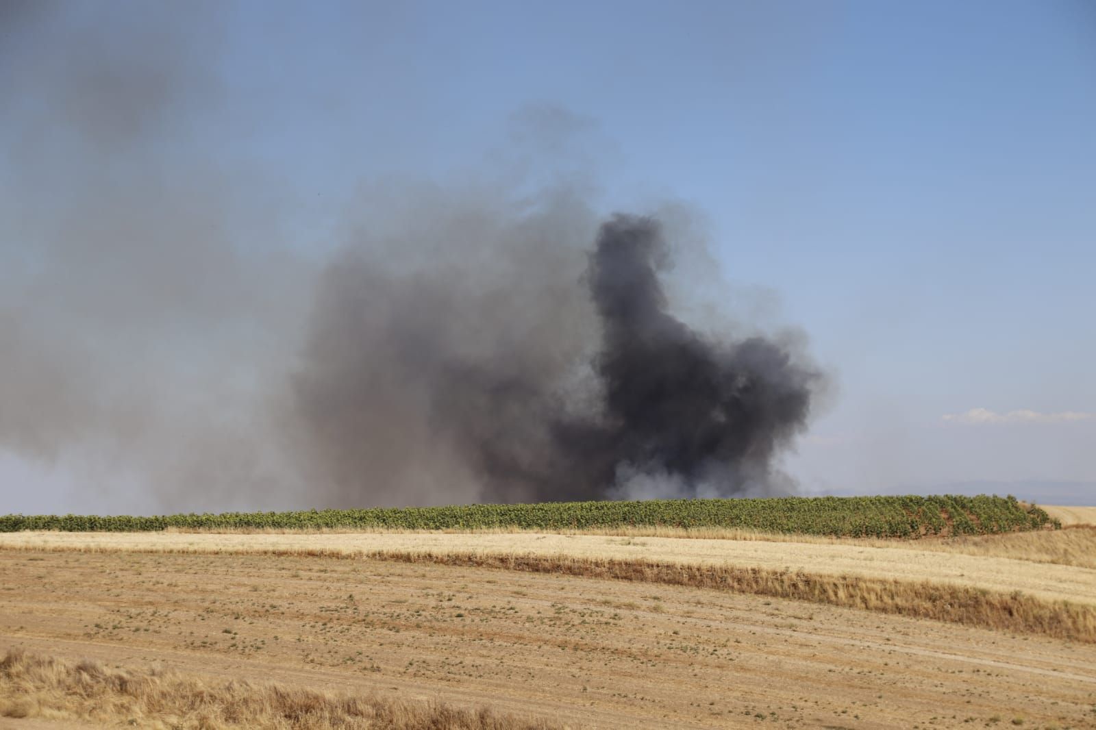 ccfd57f9-c270-446c-a6d5-df7e7b97eafa