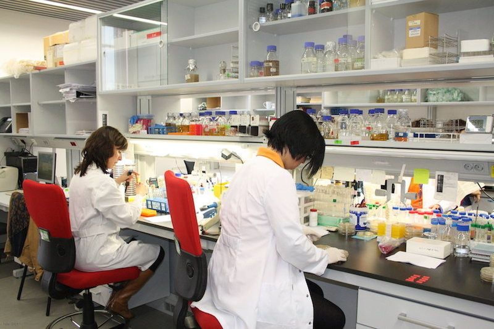 La Fundación de la USAL convoca nuevas ayudas a la investigación La Fundación de la USAL convoca nuevas ayudas a la investigación