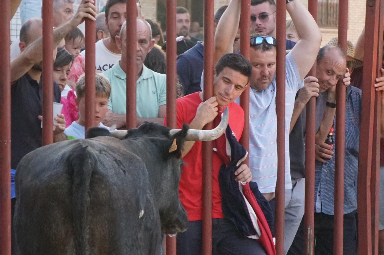 Pasión, tradición y calle: así se ha vivido en Ledesma el II Toro de Cajón
