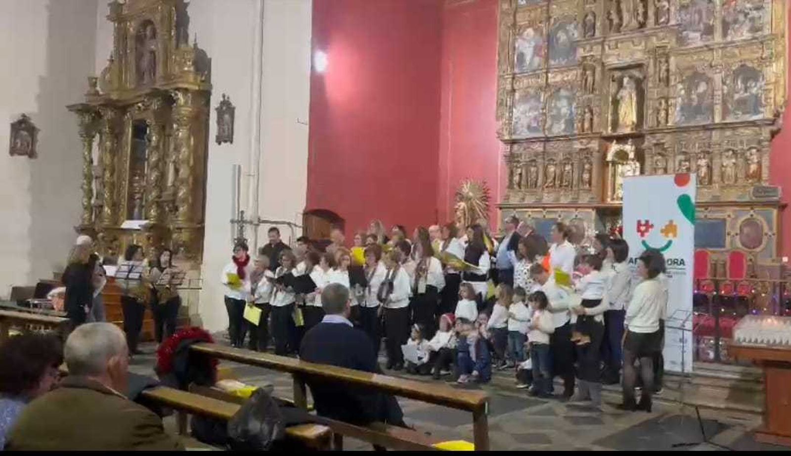 Concierto en Fuentelapeña a favor de Alzheimer Zamora (2) Concierto en Fuentelapeña a favor de Alzheimer Zamora (2)