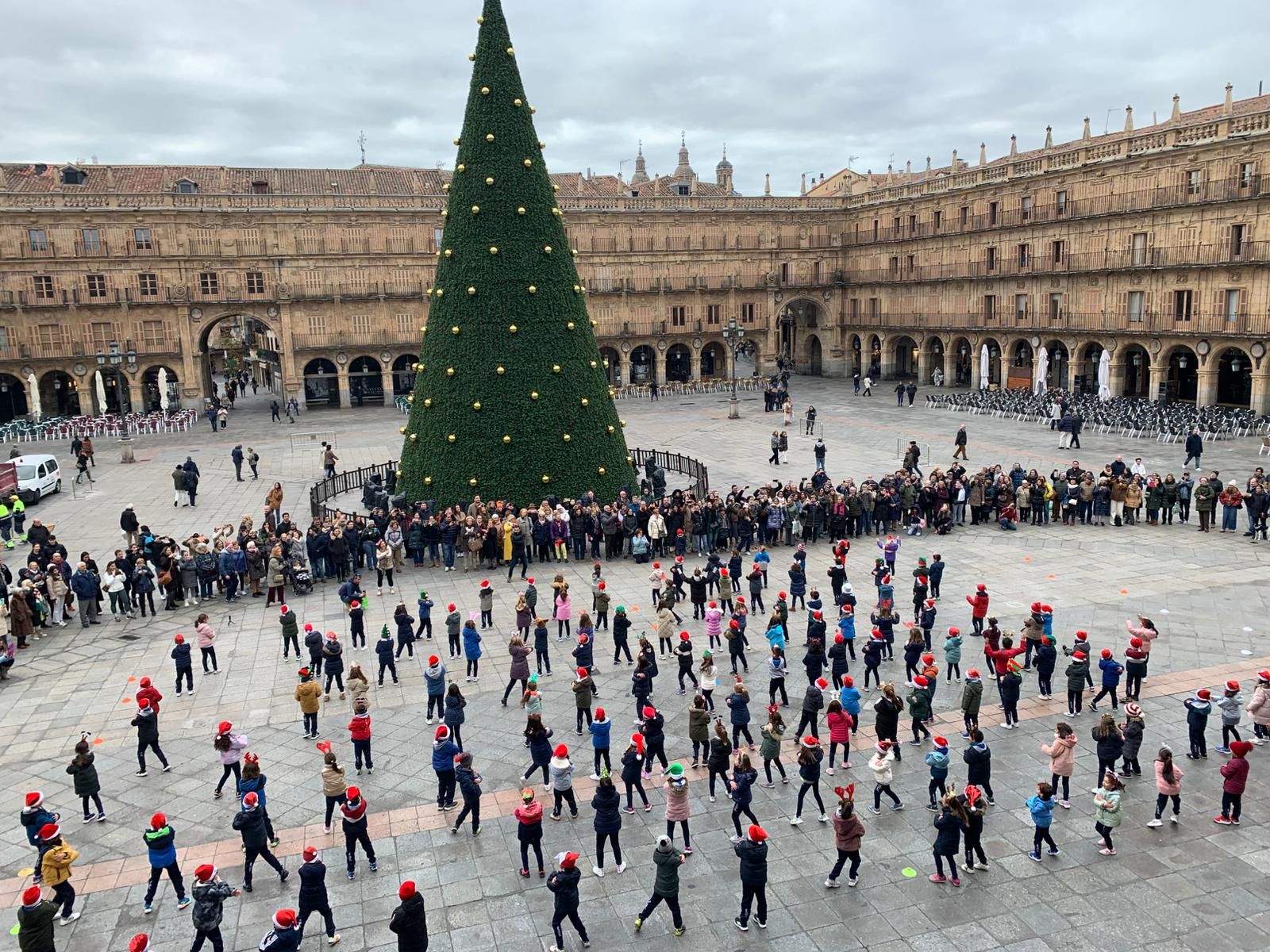 Colegio Maristas Salamanca- Especial Enseñanza 2025