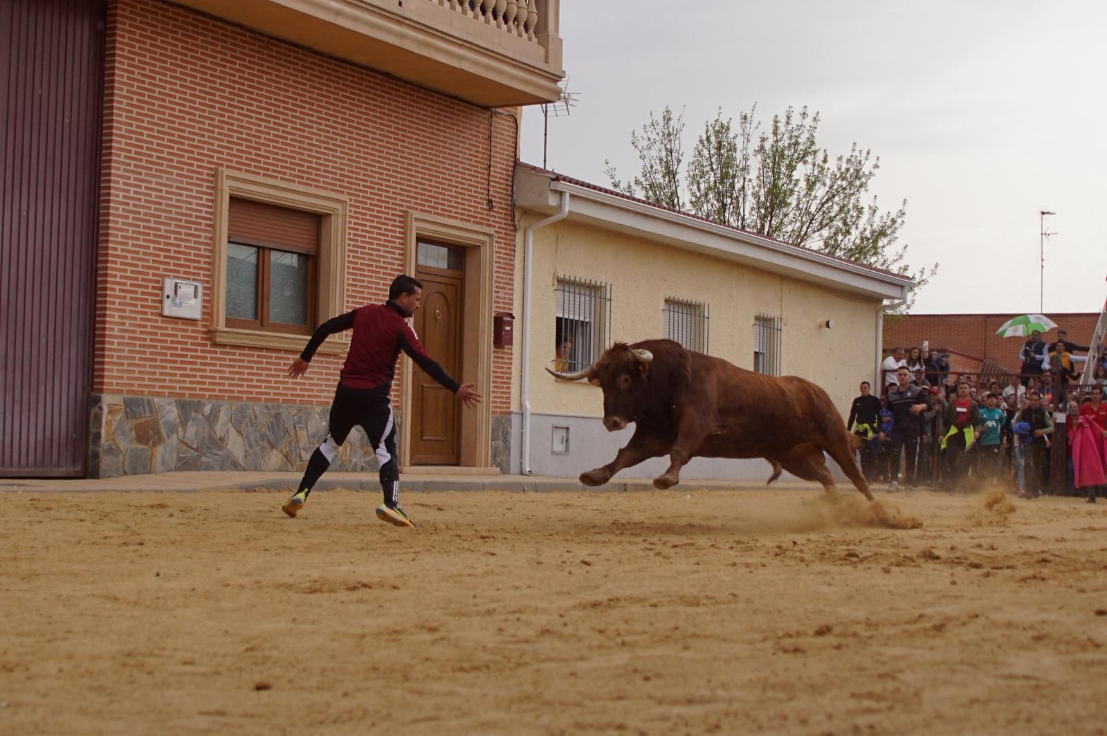 Villoria, toro del Voto