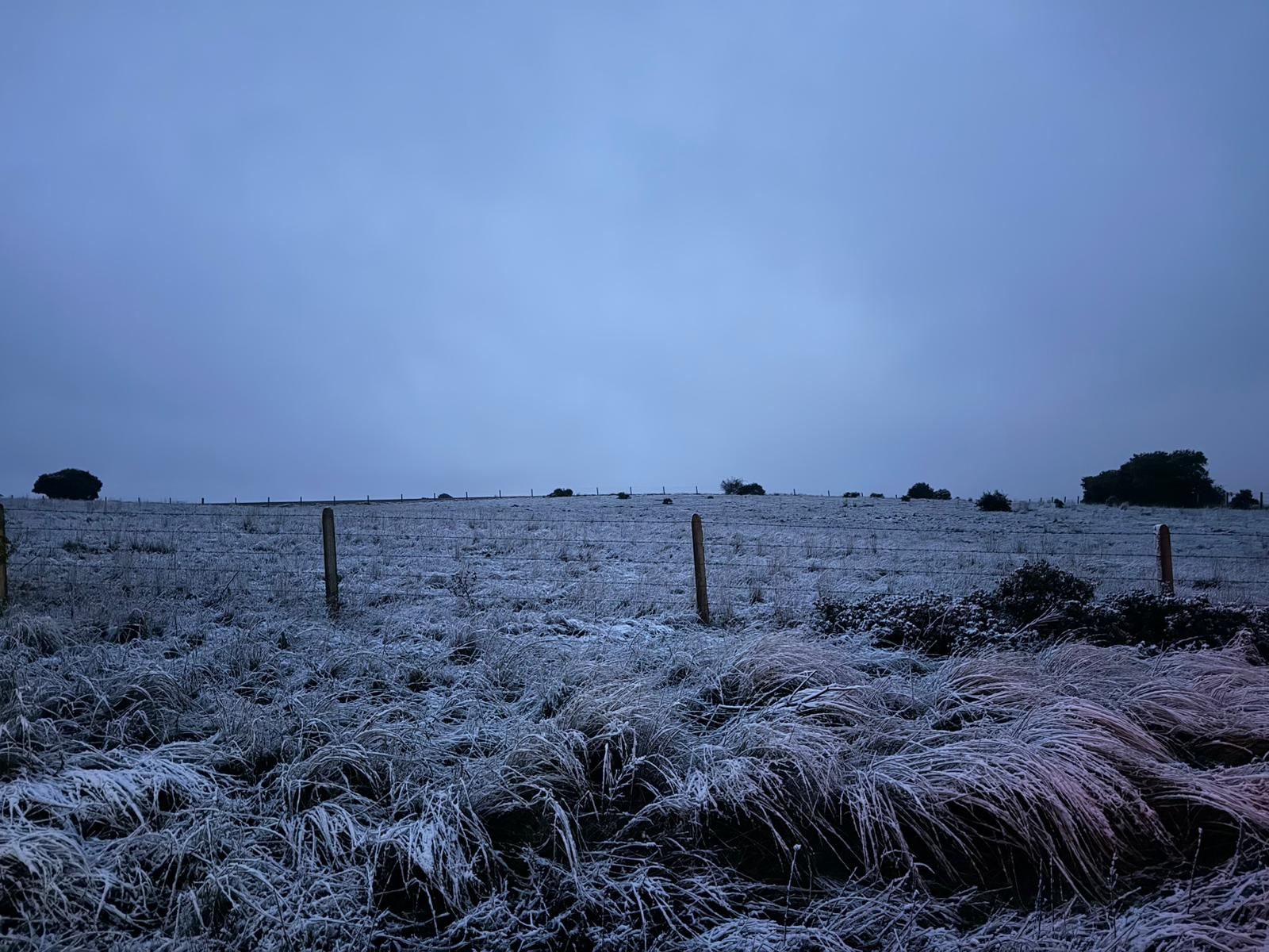 Caen los primeros copos de nieve