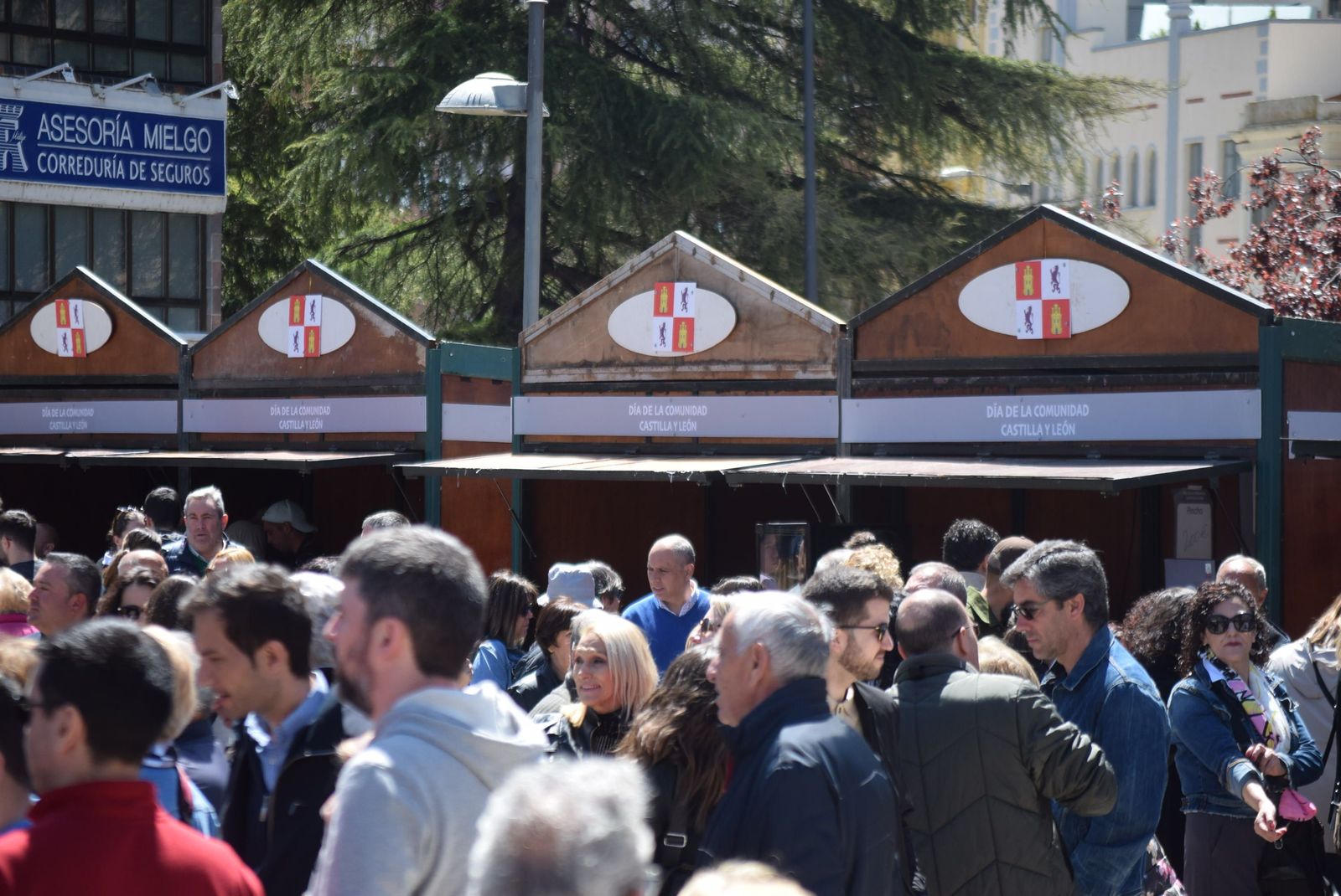 actuacion-dona-urraca-en-la-marina-35