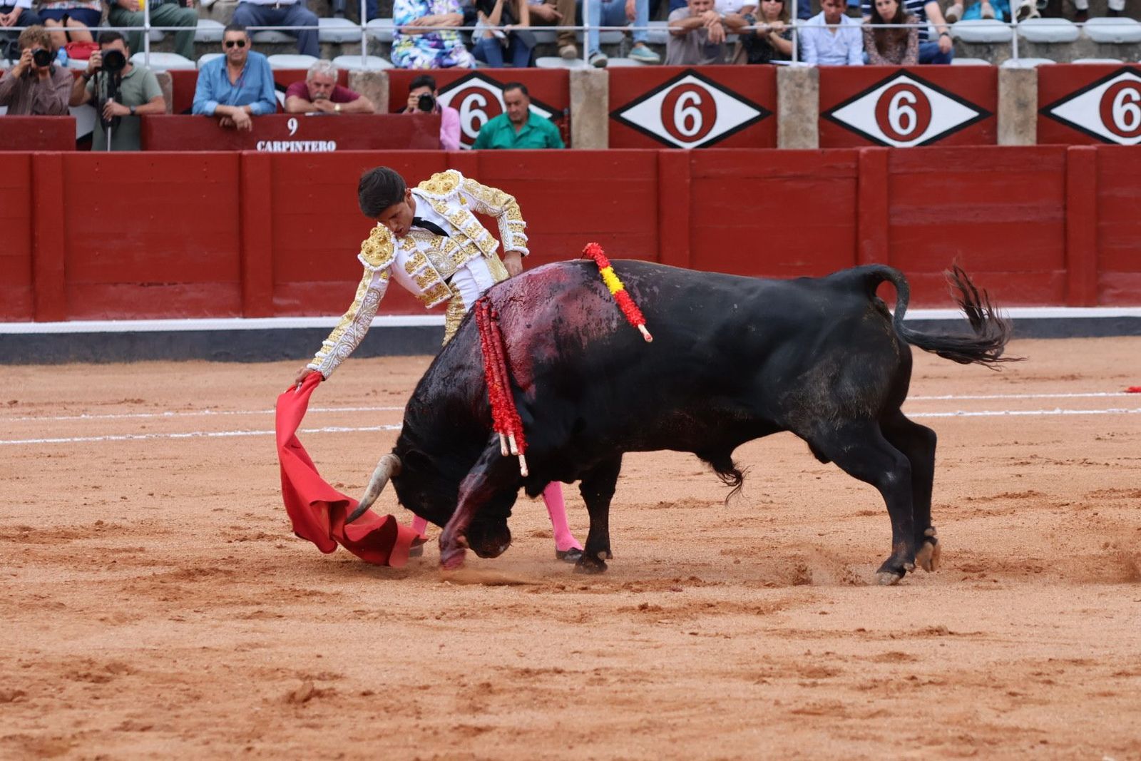 20230910180552-img-2030