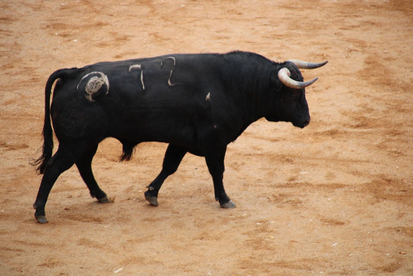 whatsapp-image-2025-03-01-at-13-18-49