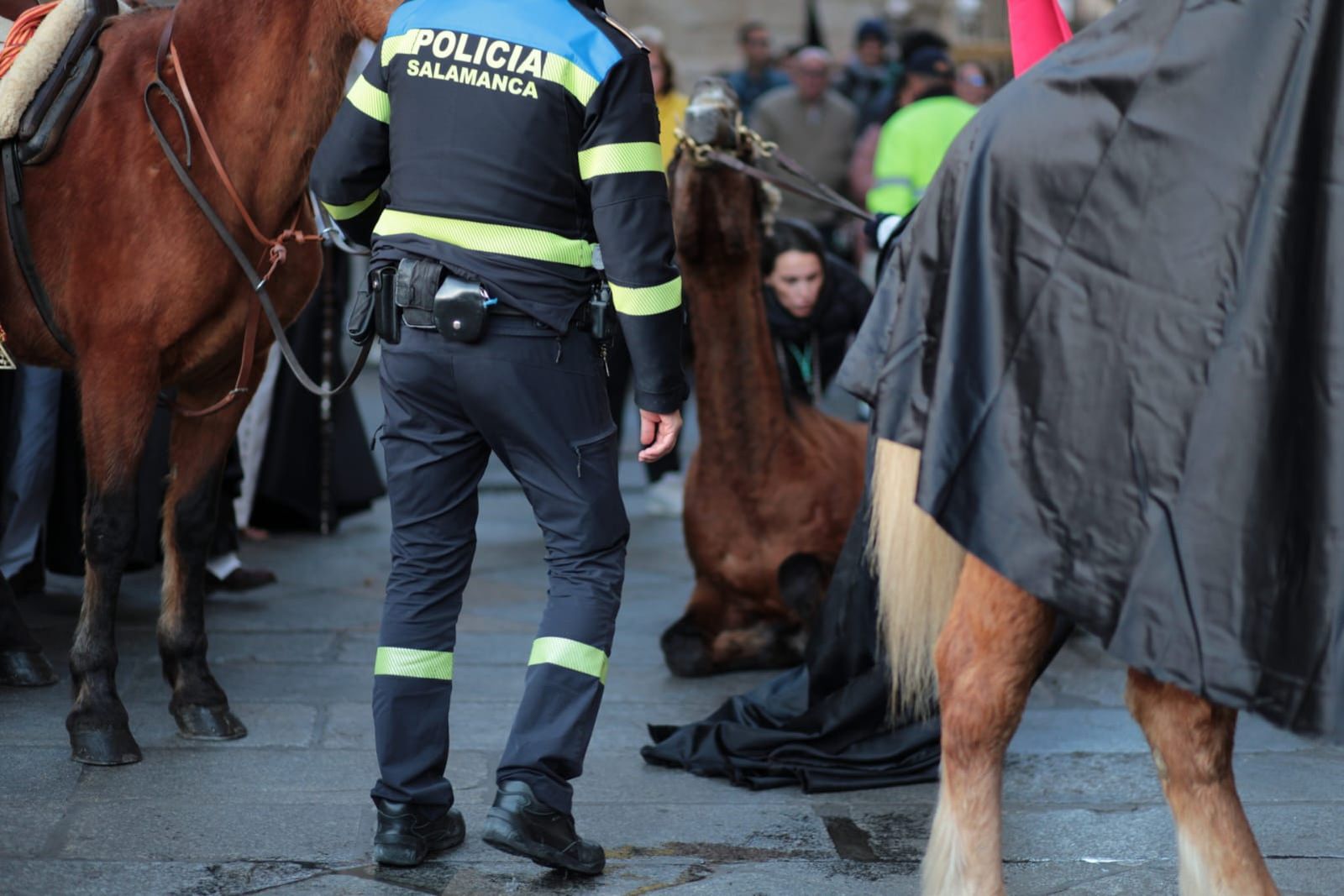 Un caballo se cae durante La Dominicana