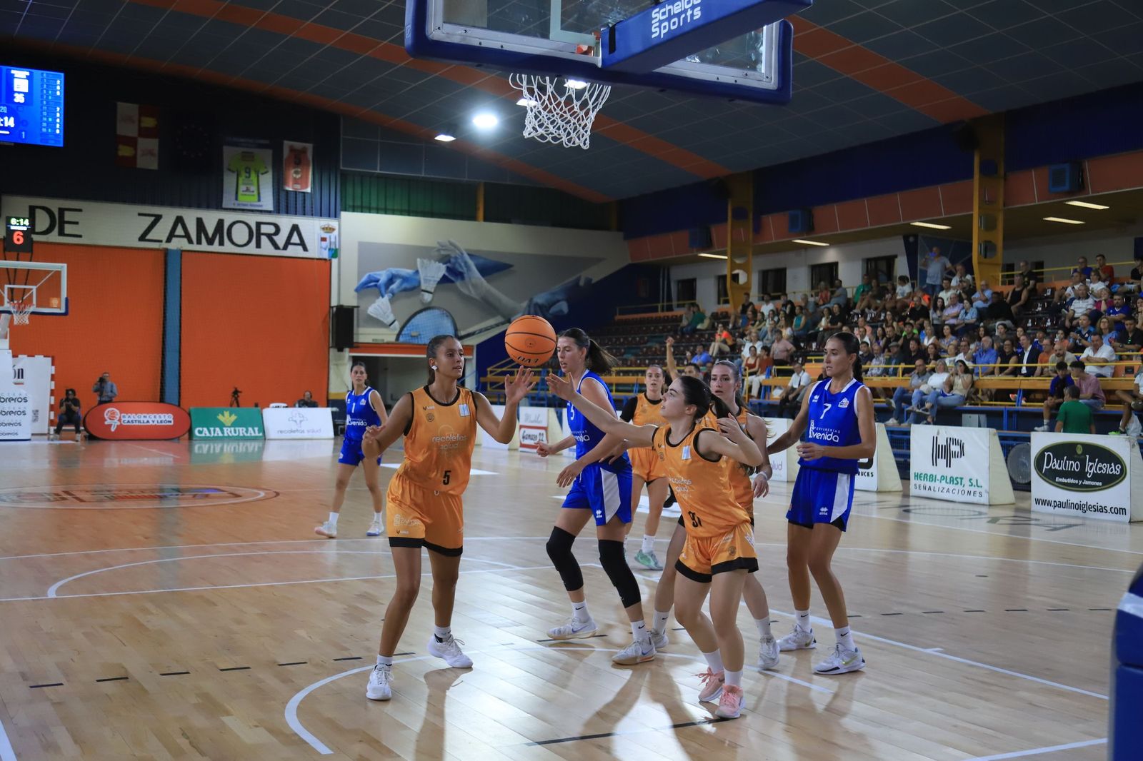 Copa Baloncesto Castilla y León: Zamarat-Avenida