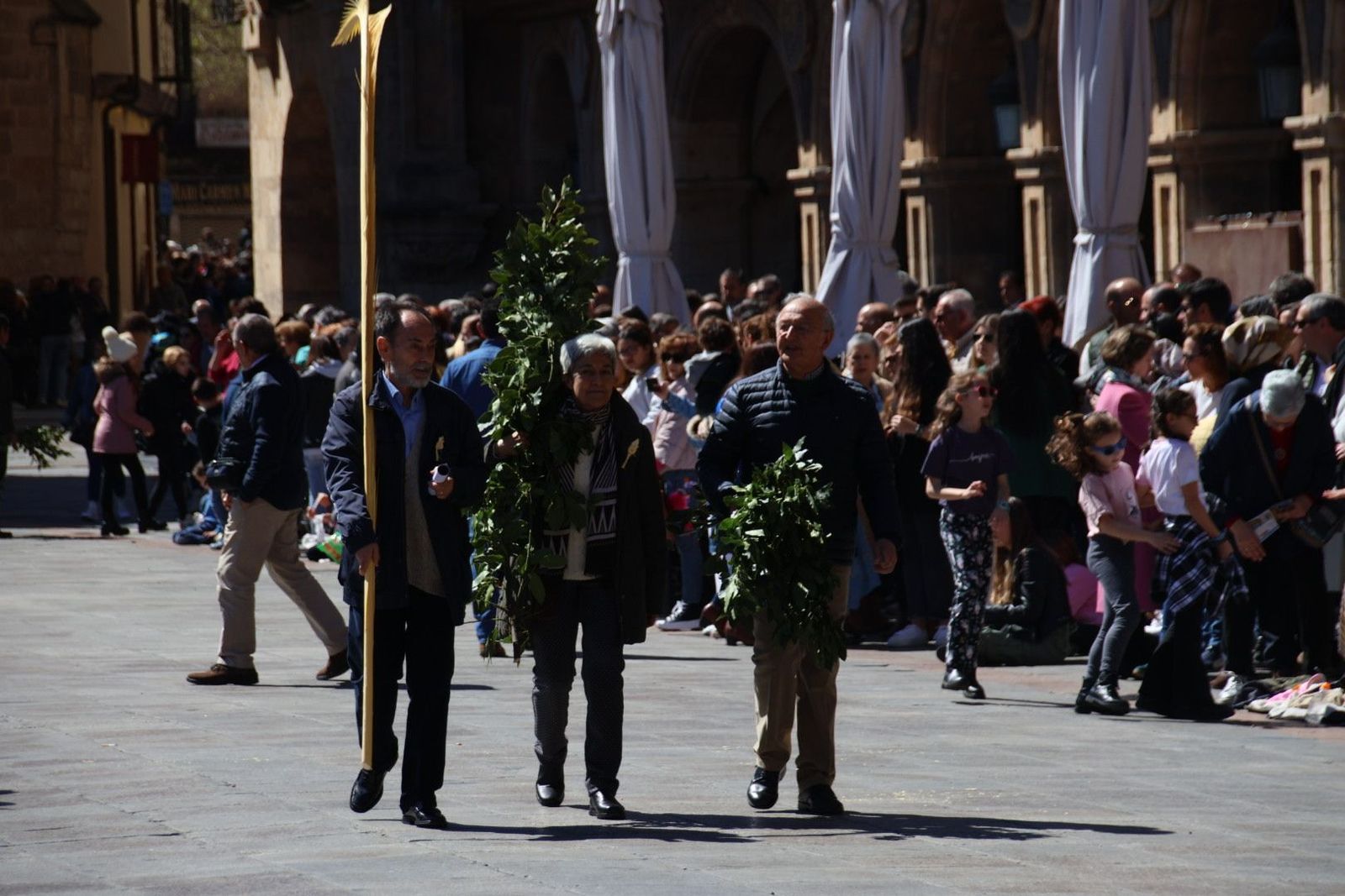 20230402122412-img-9611