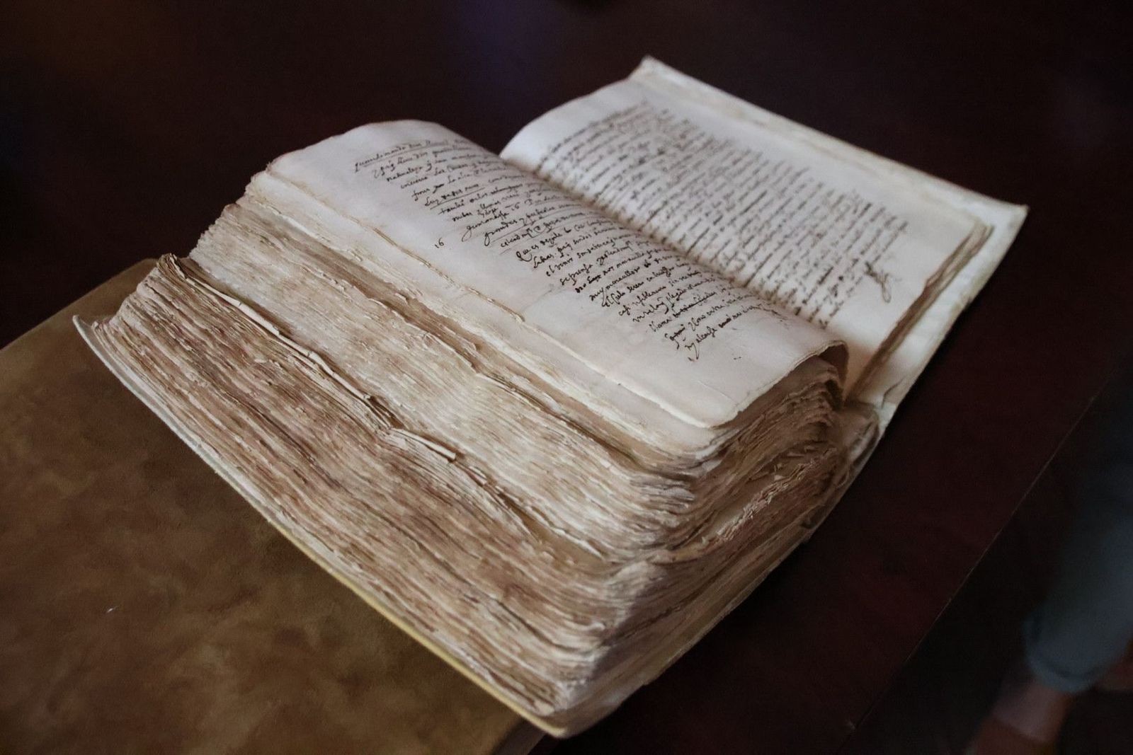 20231005111054-img-1318