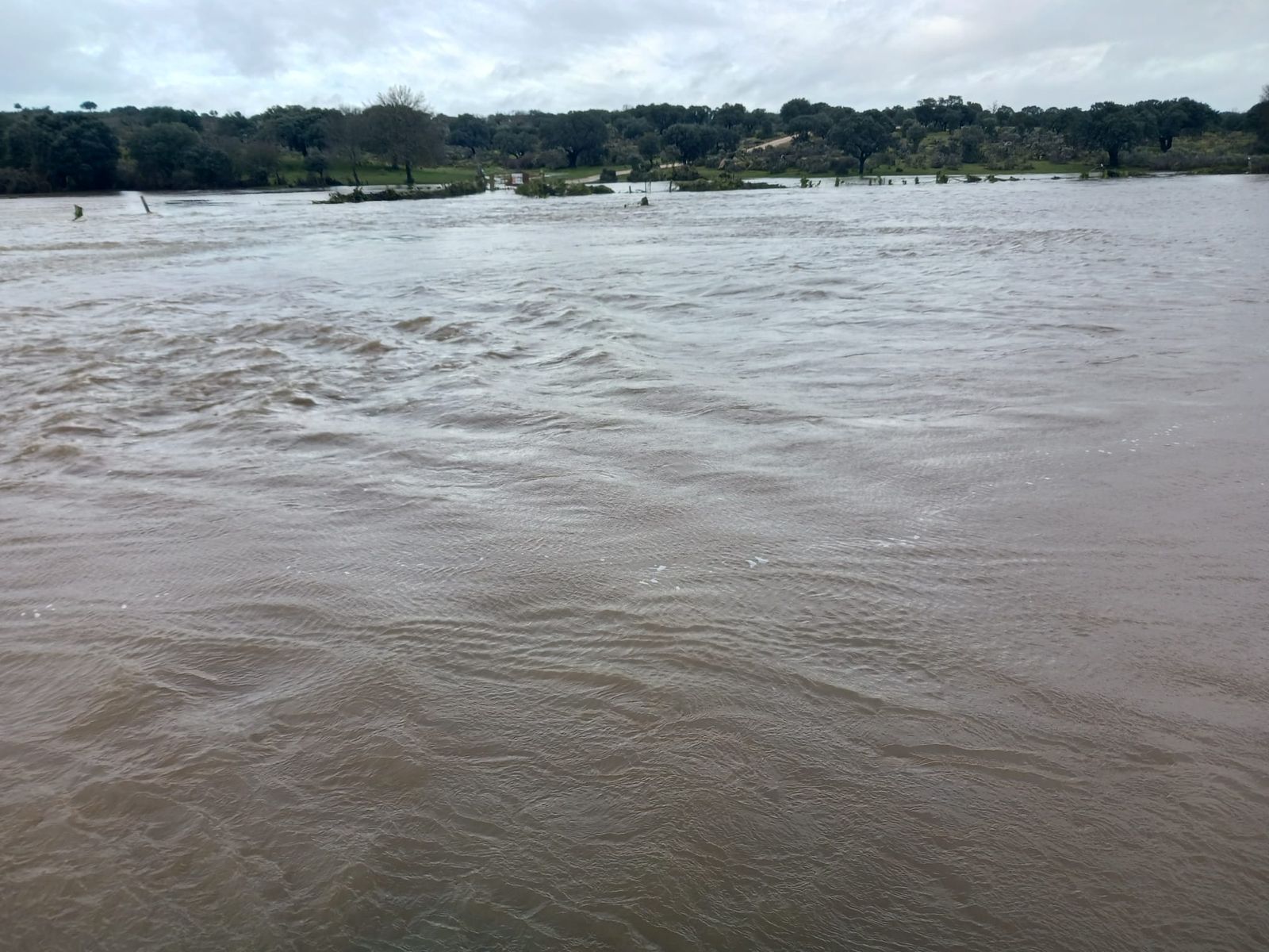 imagen-de-whatsapp-2024-01-17-a-las-18-24-09-496153a5